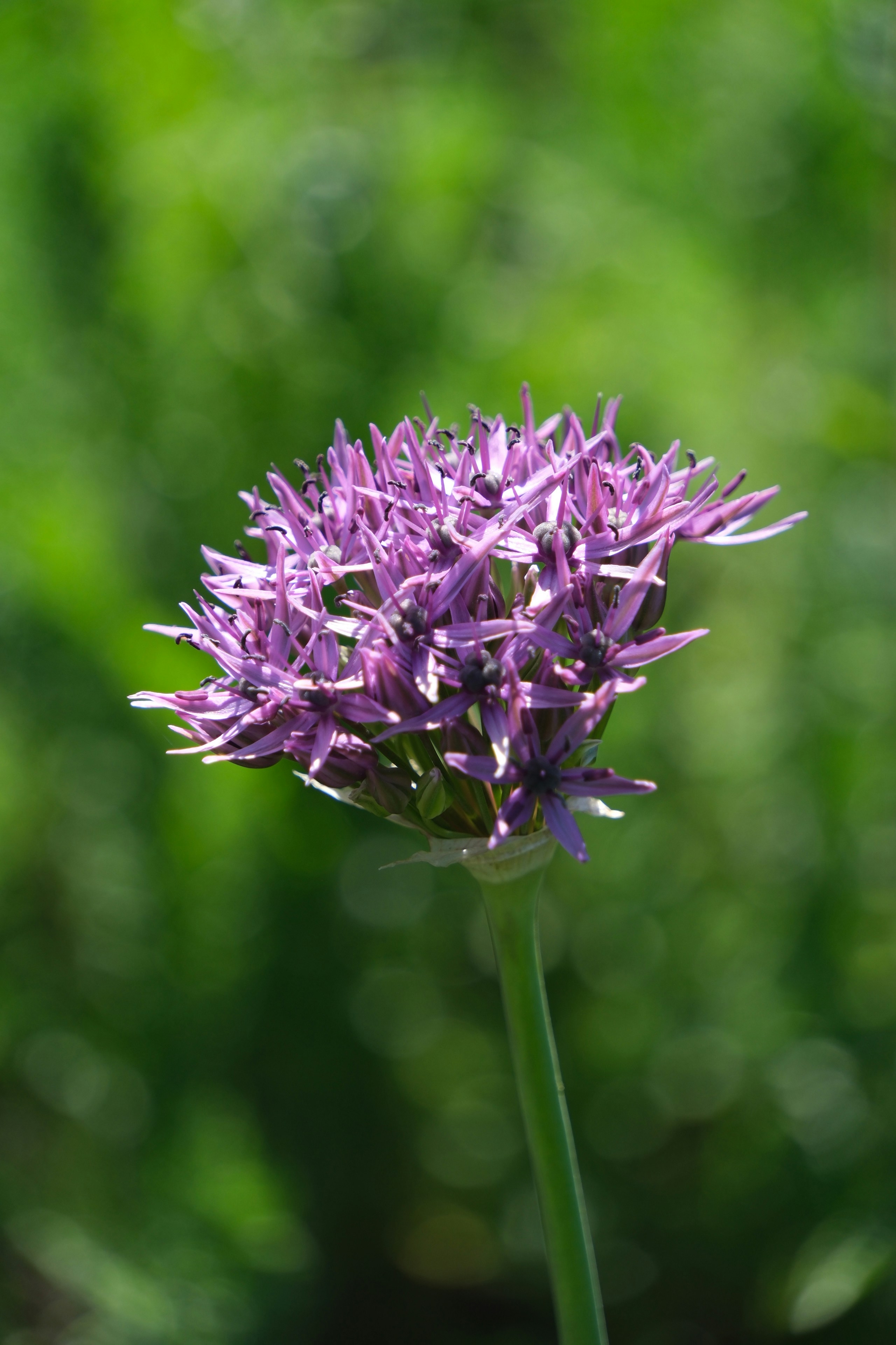 Photo by nikoverbeke