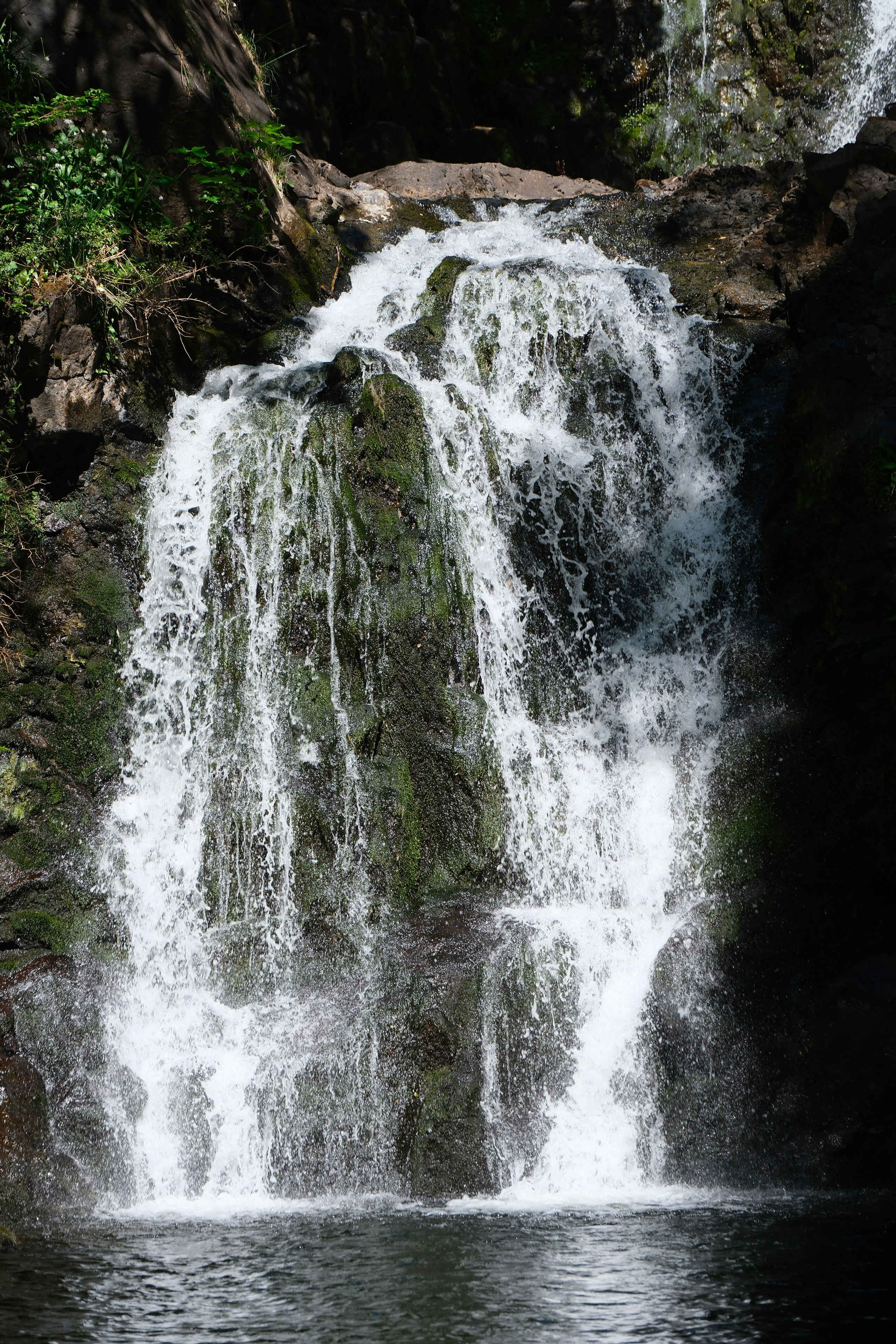 Photo by nikoverbeke