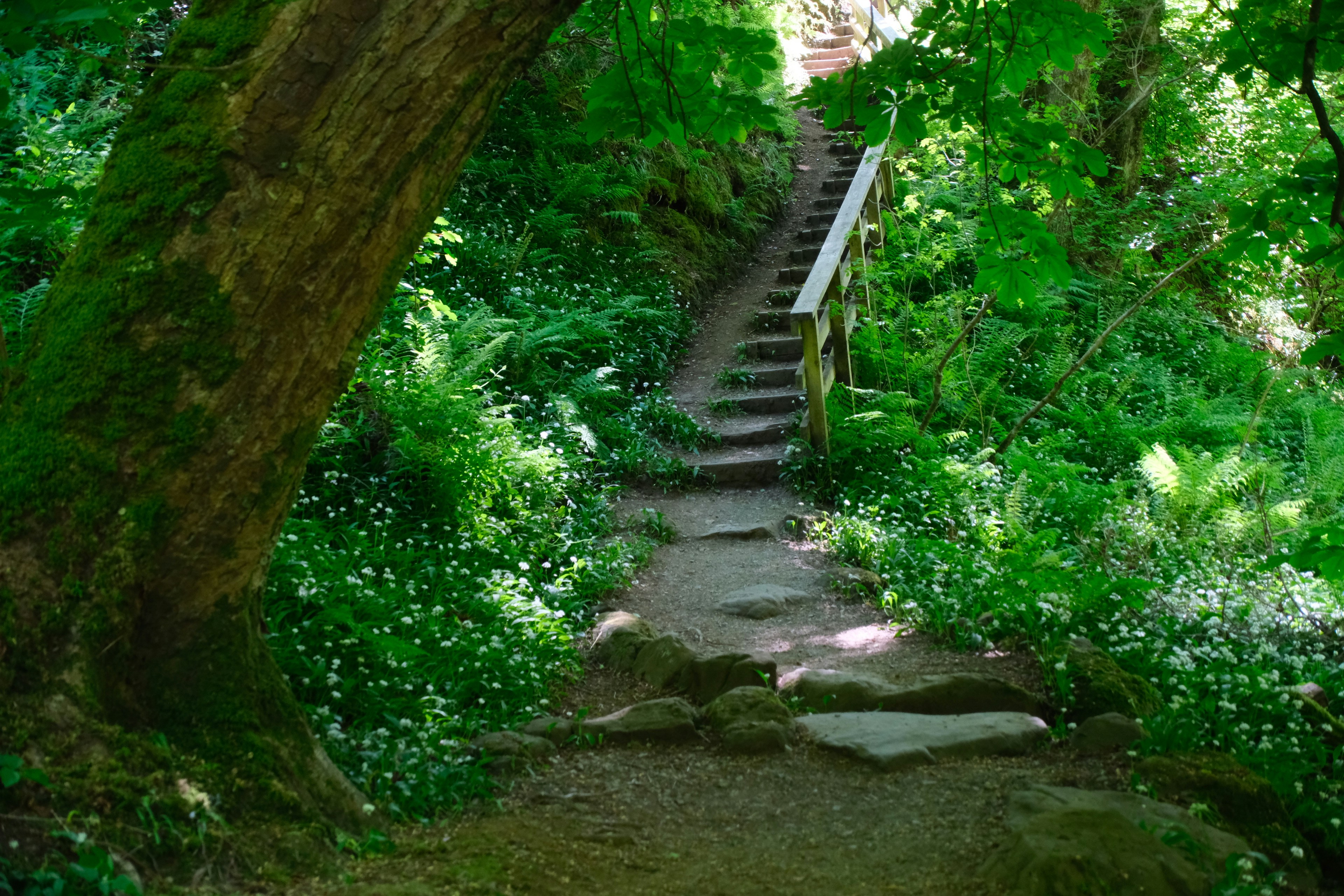 Photo by nikoverbeke