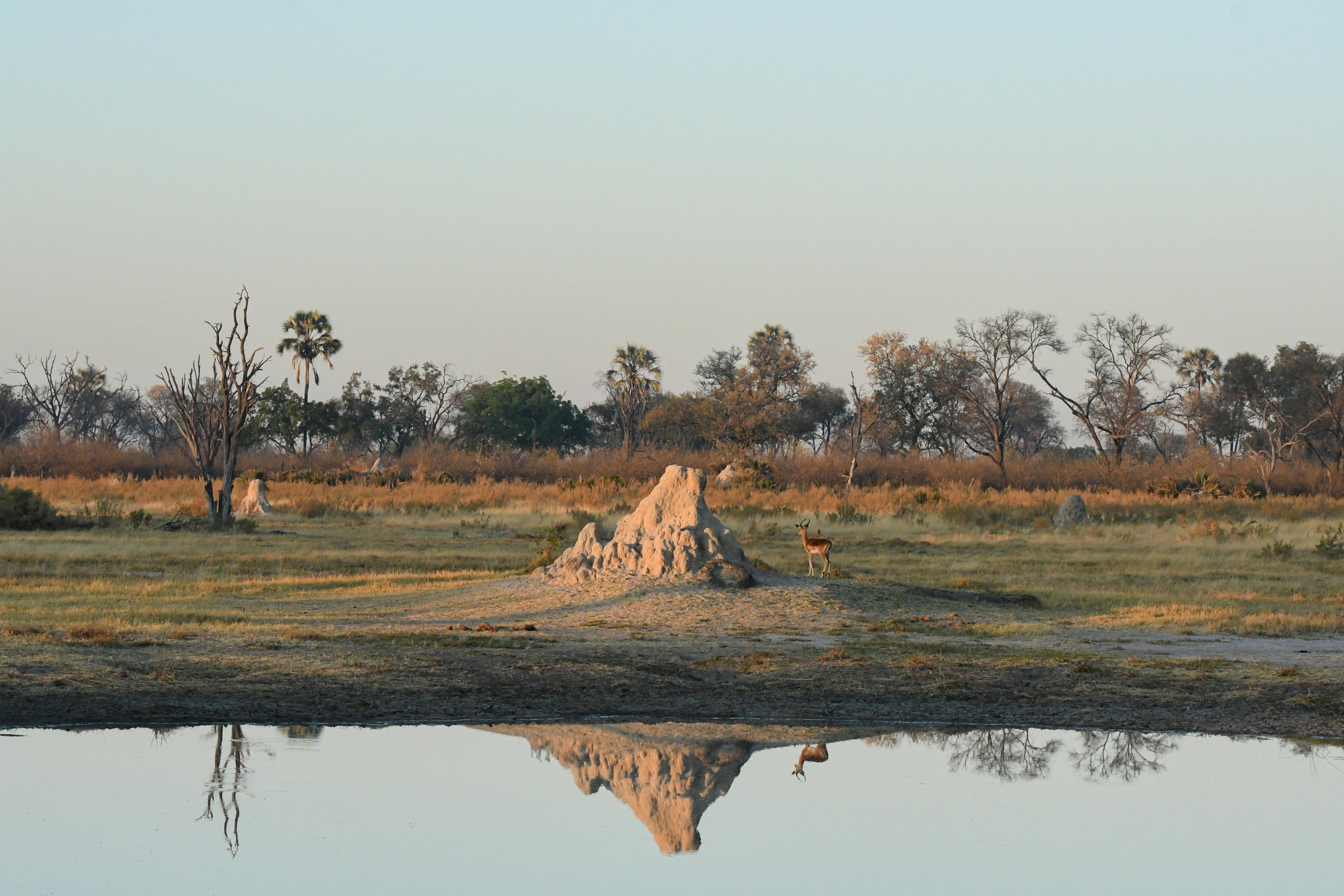 Botswana - Things to Do in Botswana