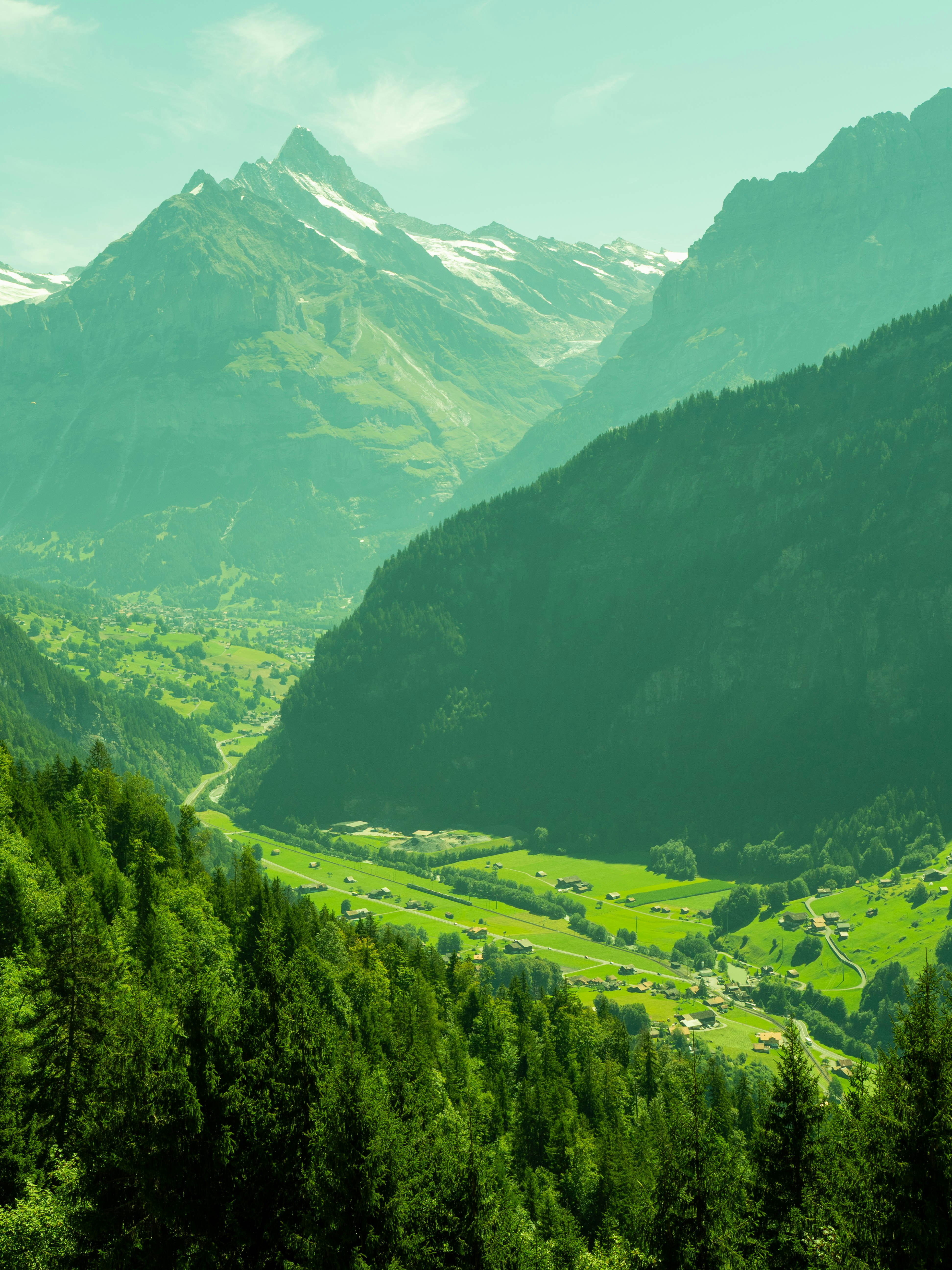 Photo by bengrayland