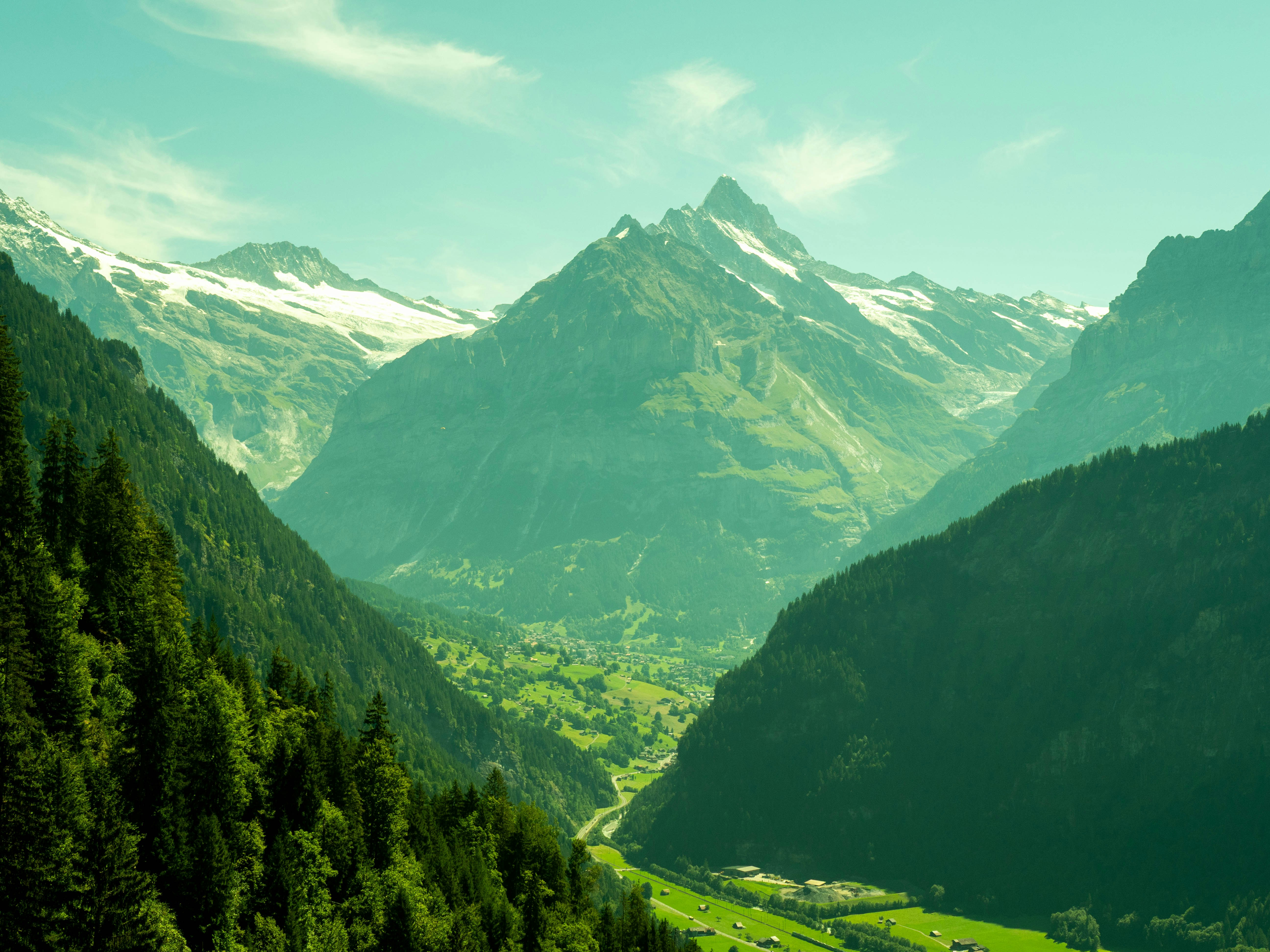 Photo by bengrayland