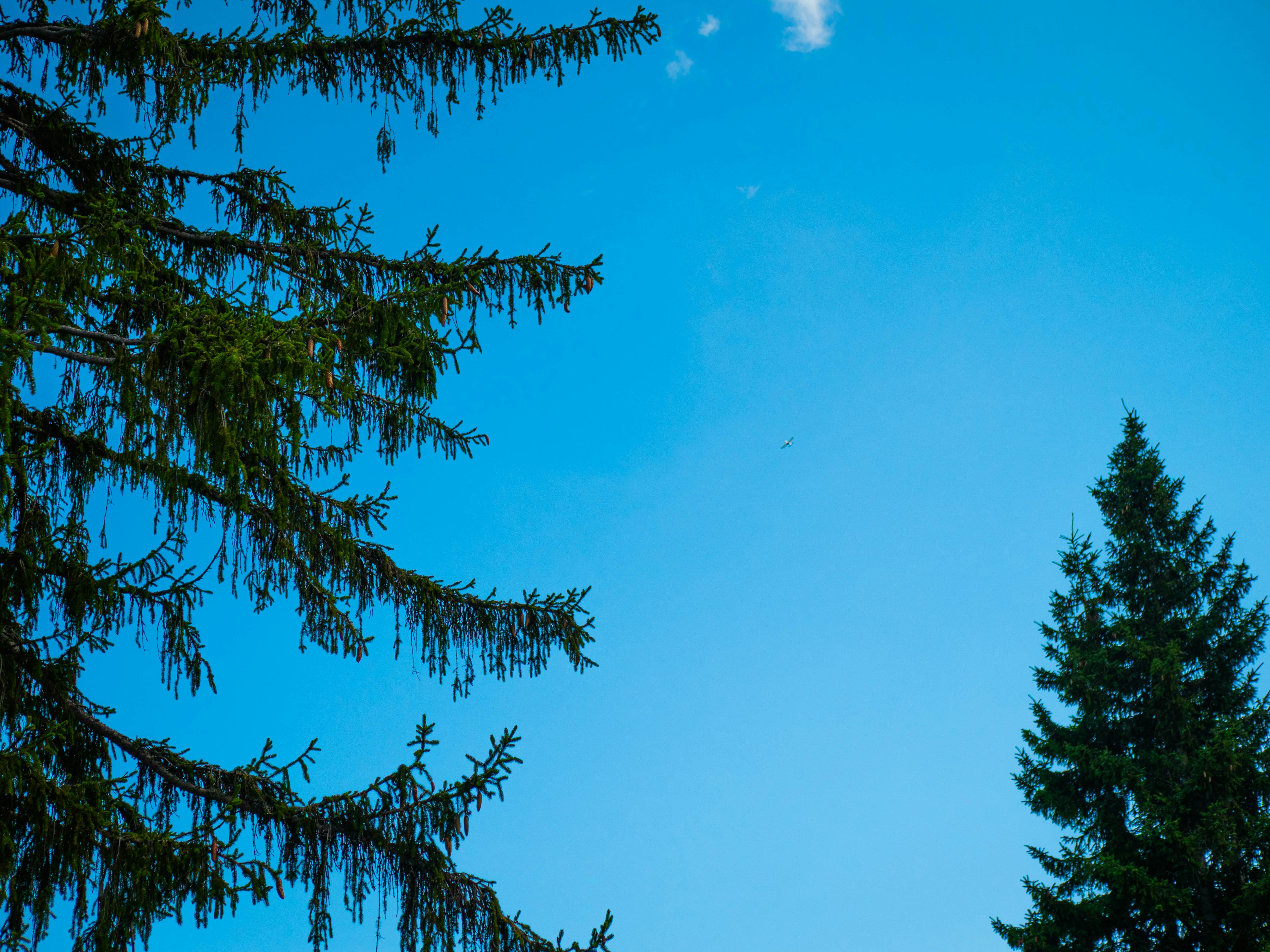 Photo by bengrayland