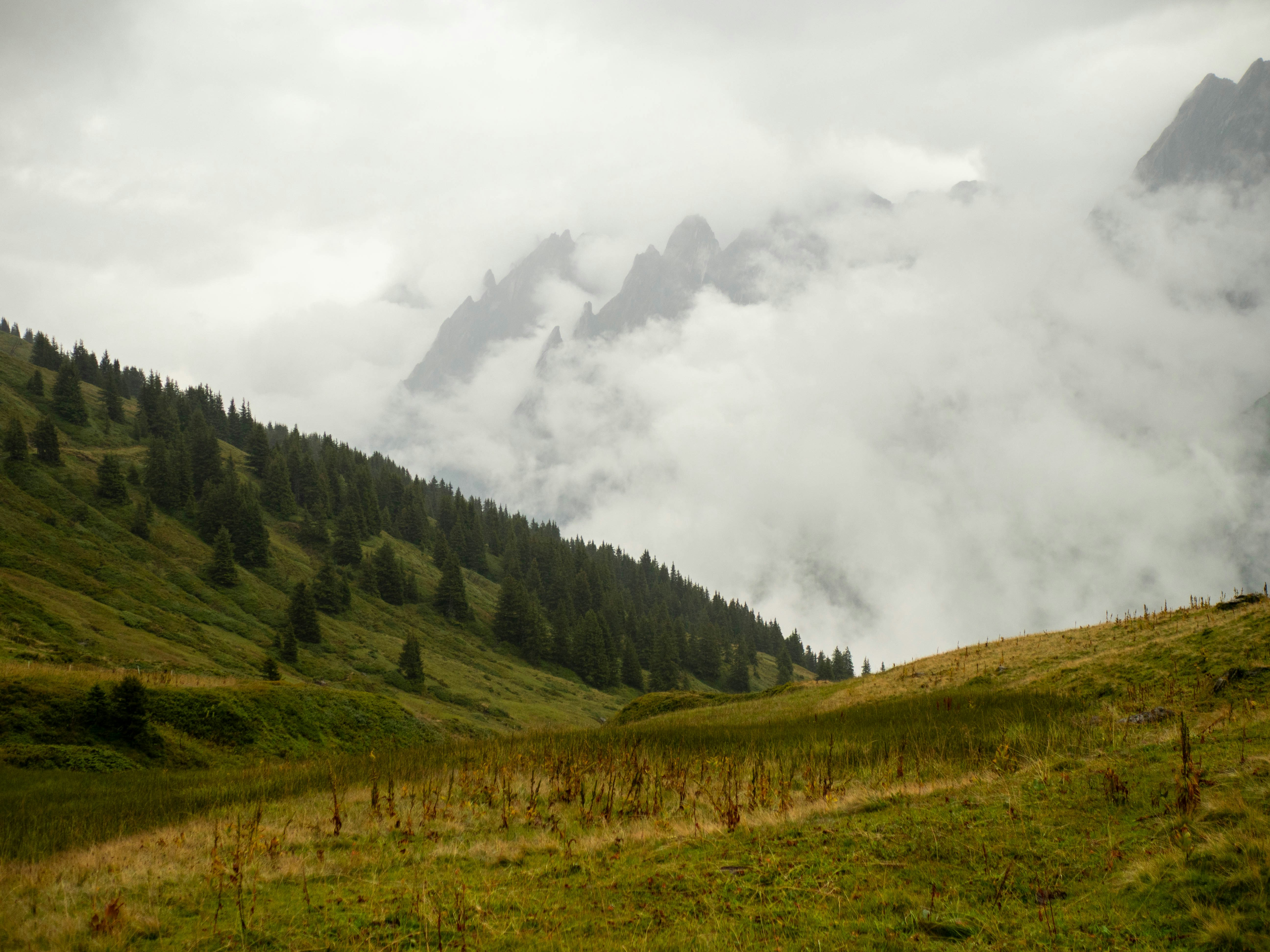 Photo by bengrayland