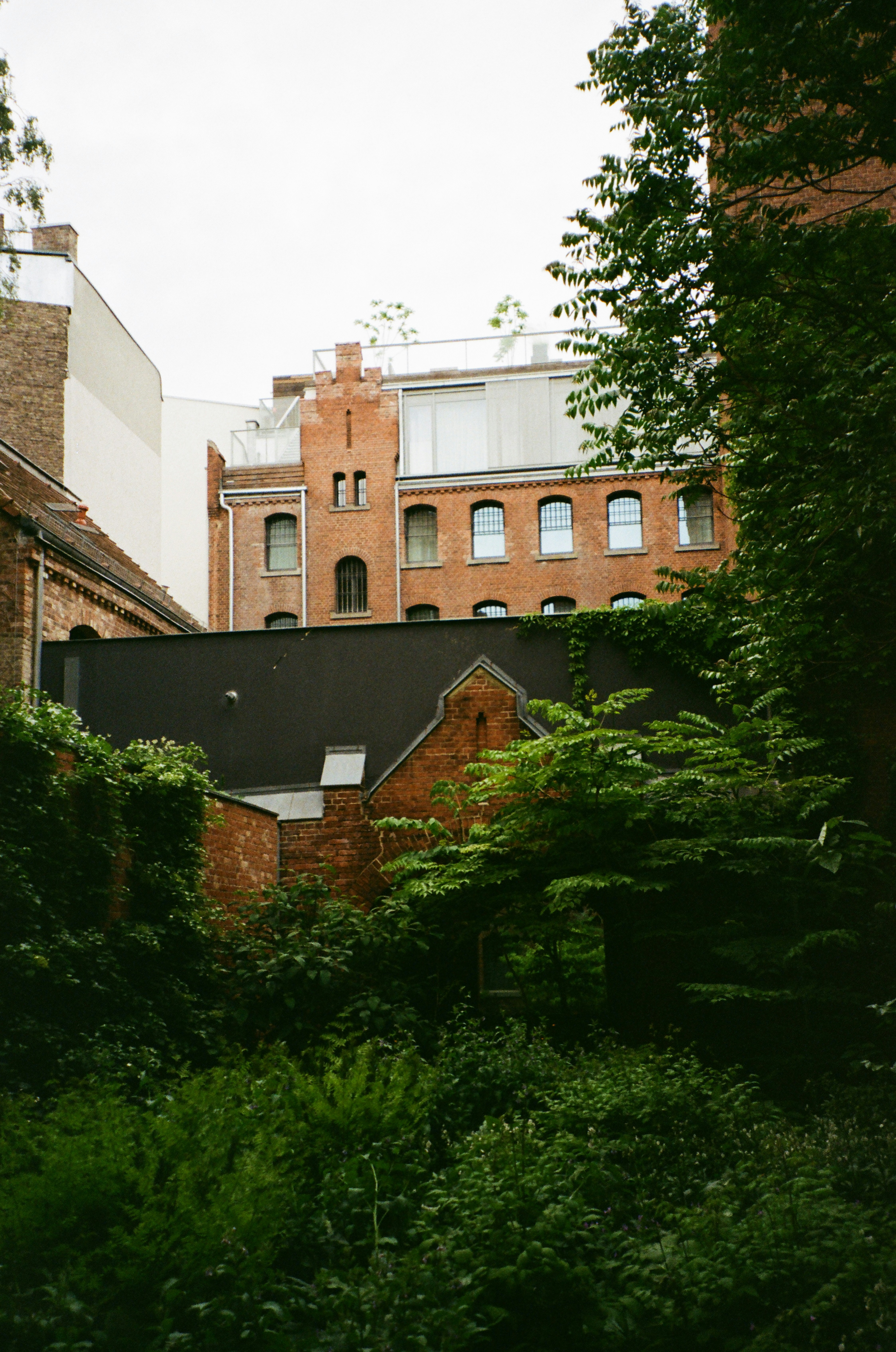 Photo by phantomsheart