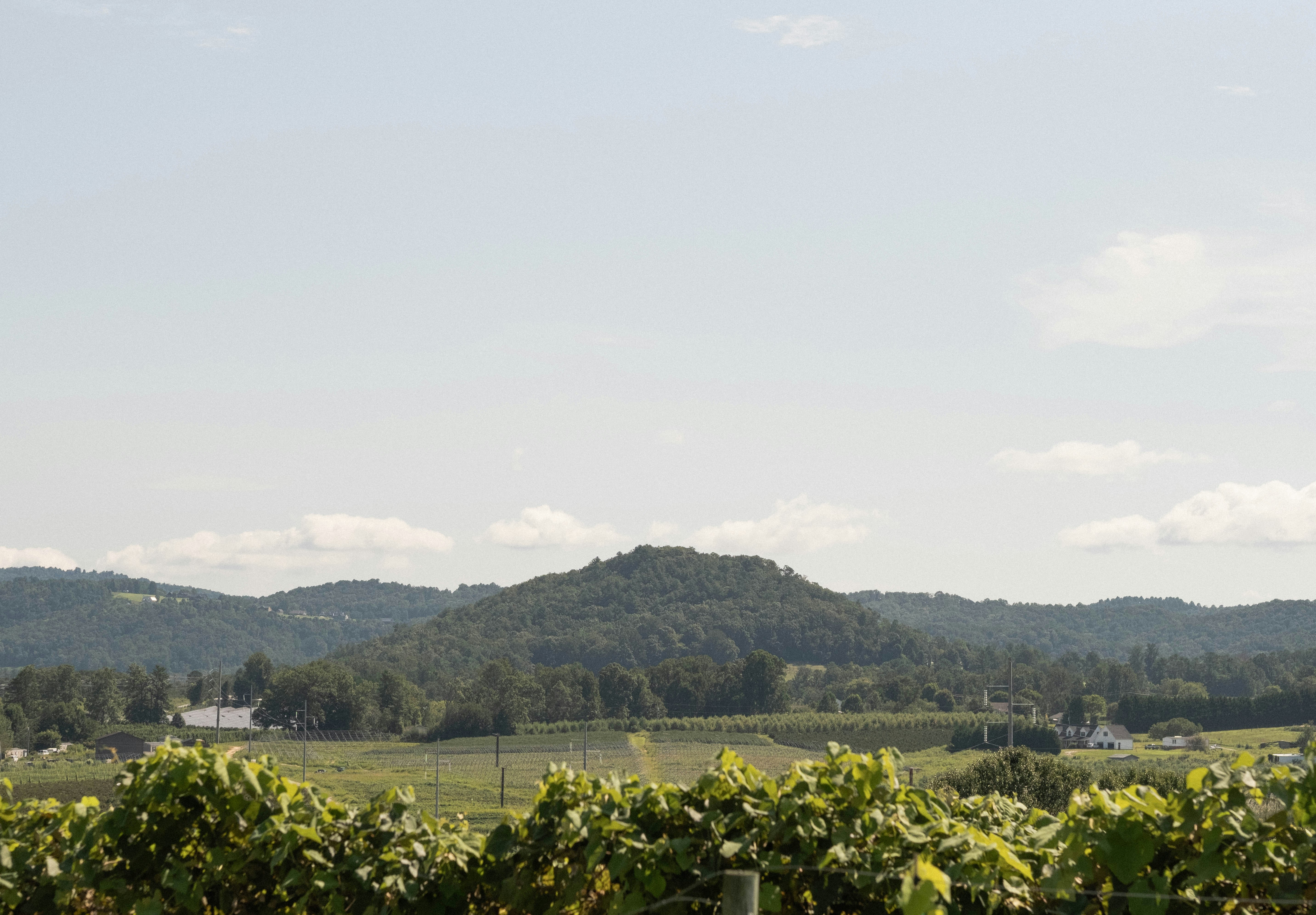 Photo by thejustinhall