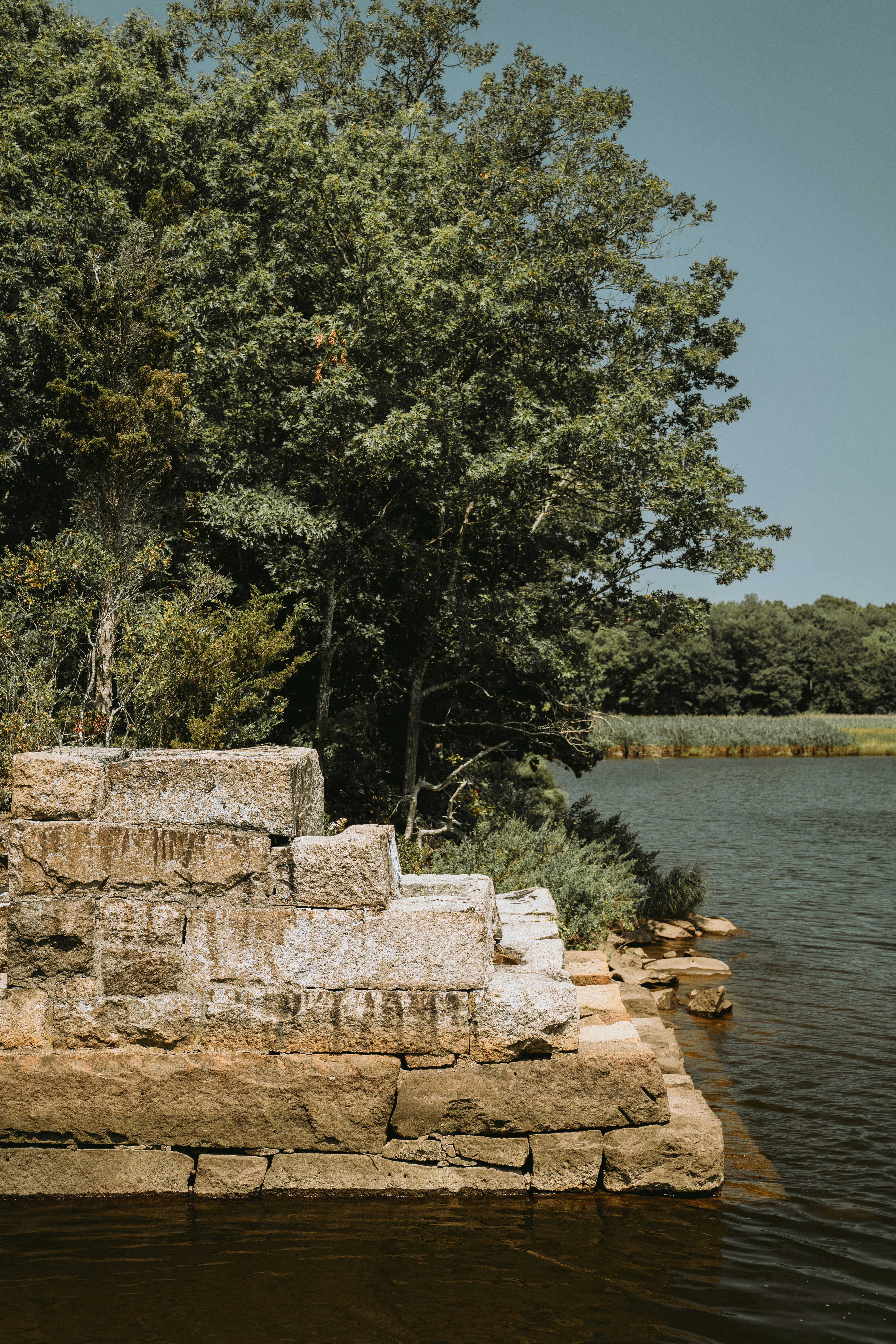 Stone steps lead into a calm lake surrounded by trees.