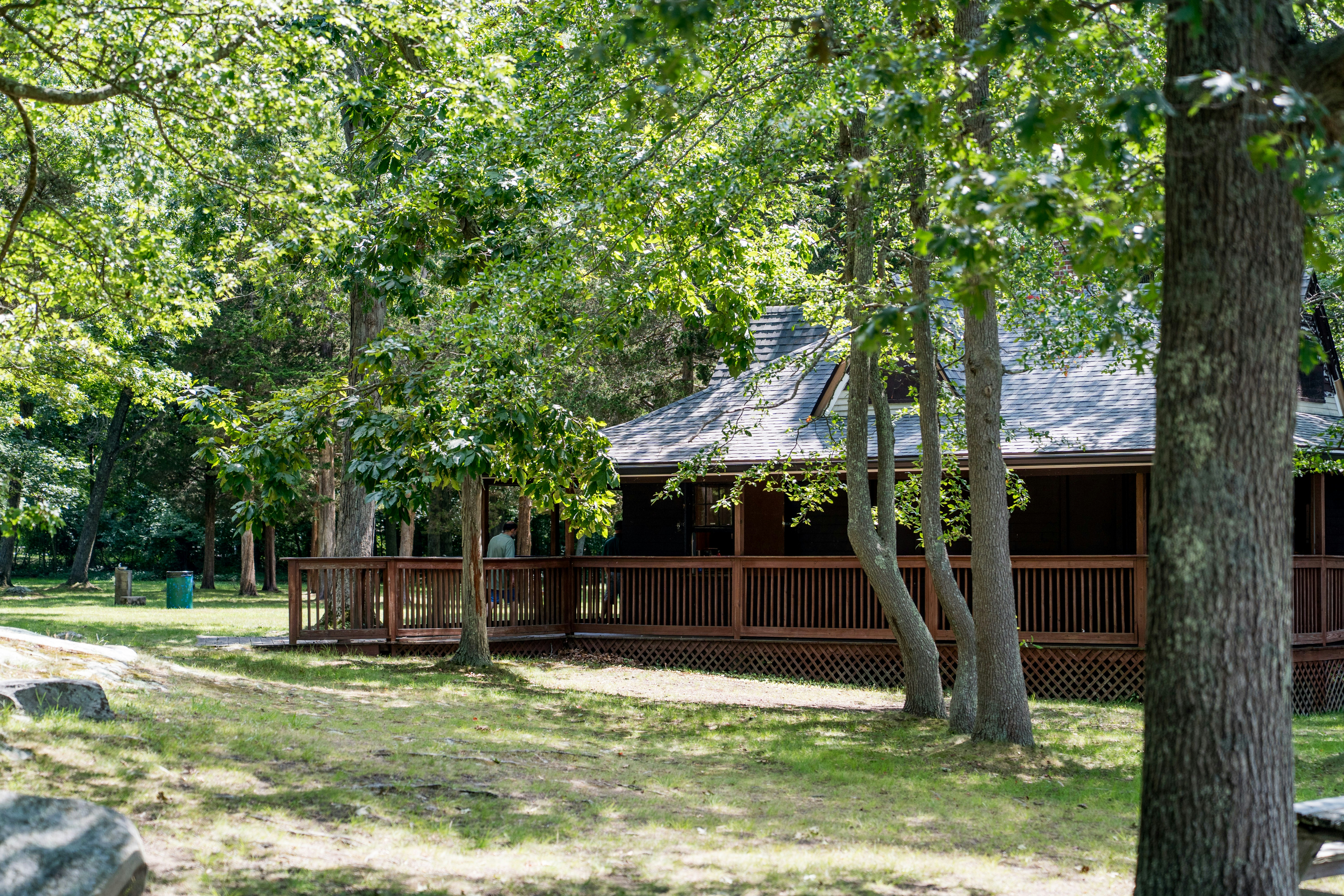 Wooden cabin nestled among trees in a sunny park.