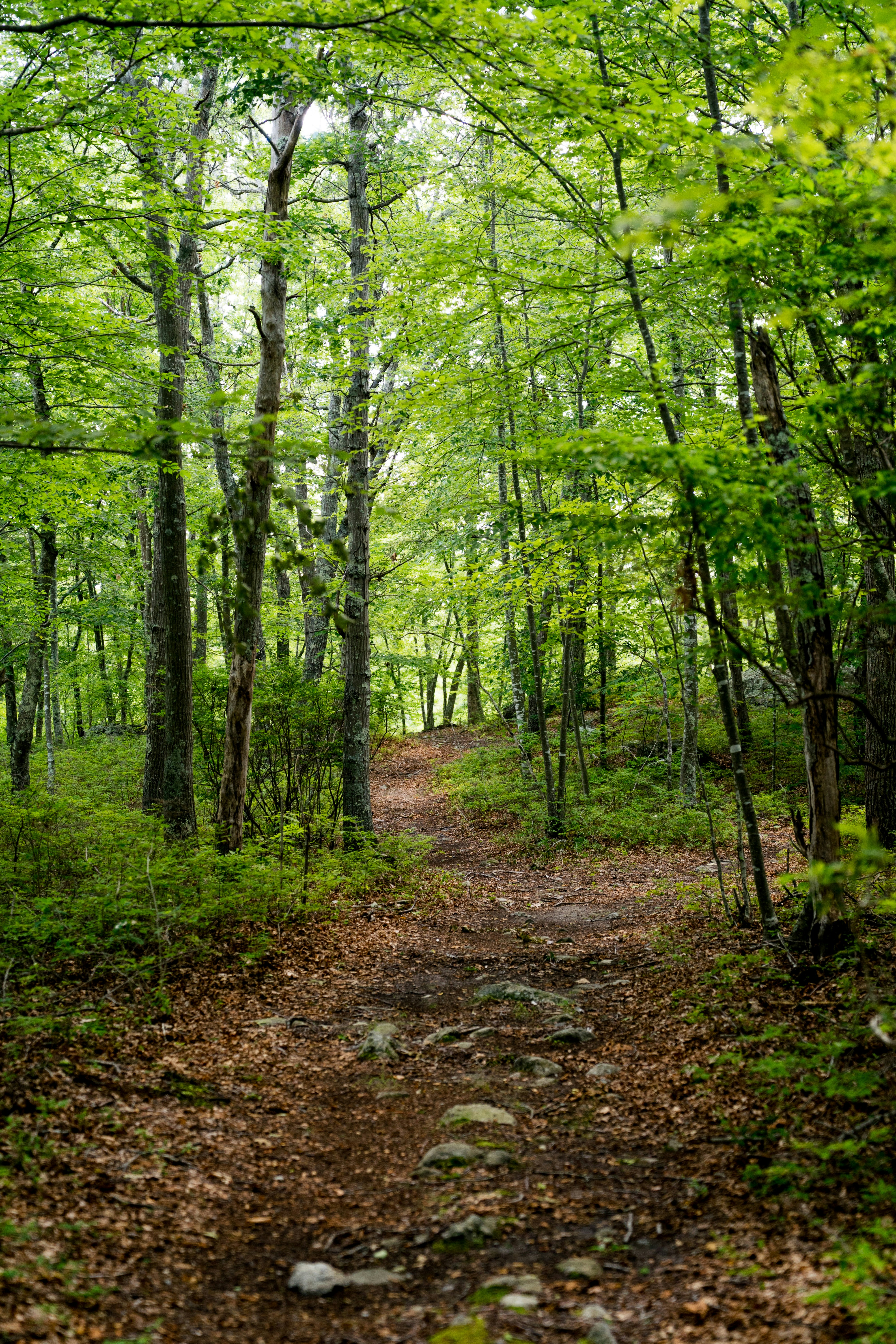 Photo by dropfastcollective