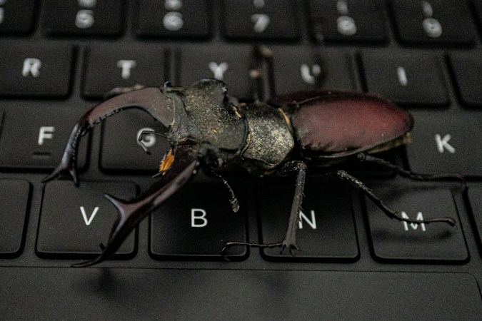 Image de Implémenter l’authentification oauth2 keycloak dans une api node.js express