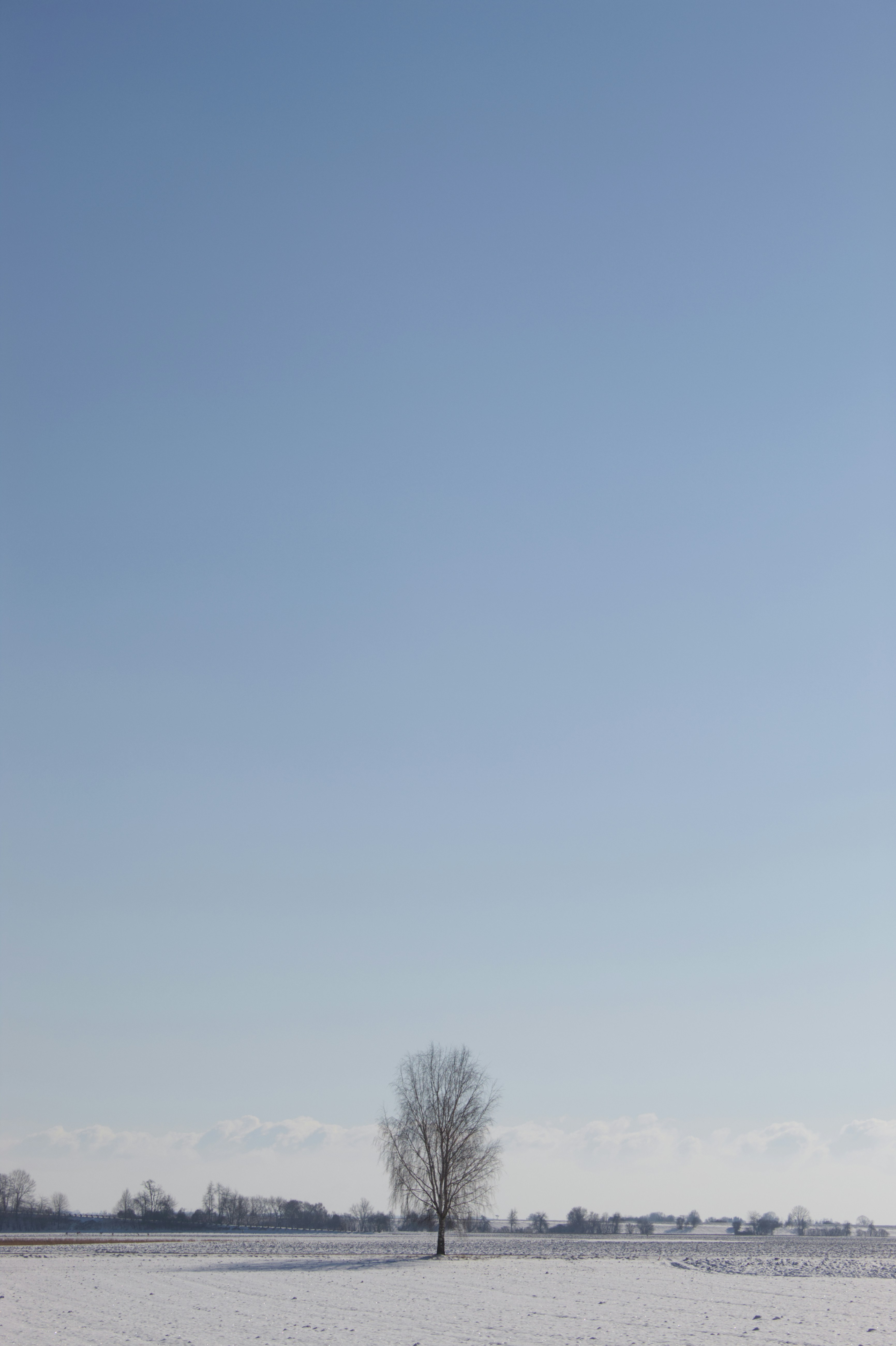 Photo by spaceboundstudio