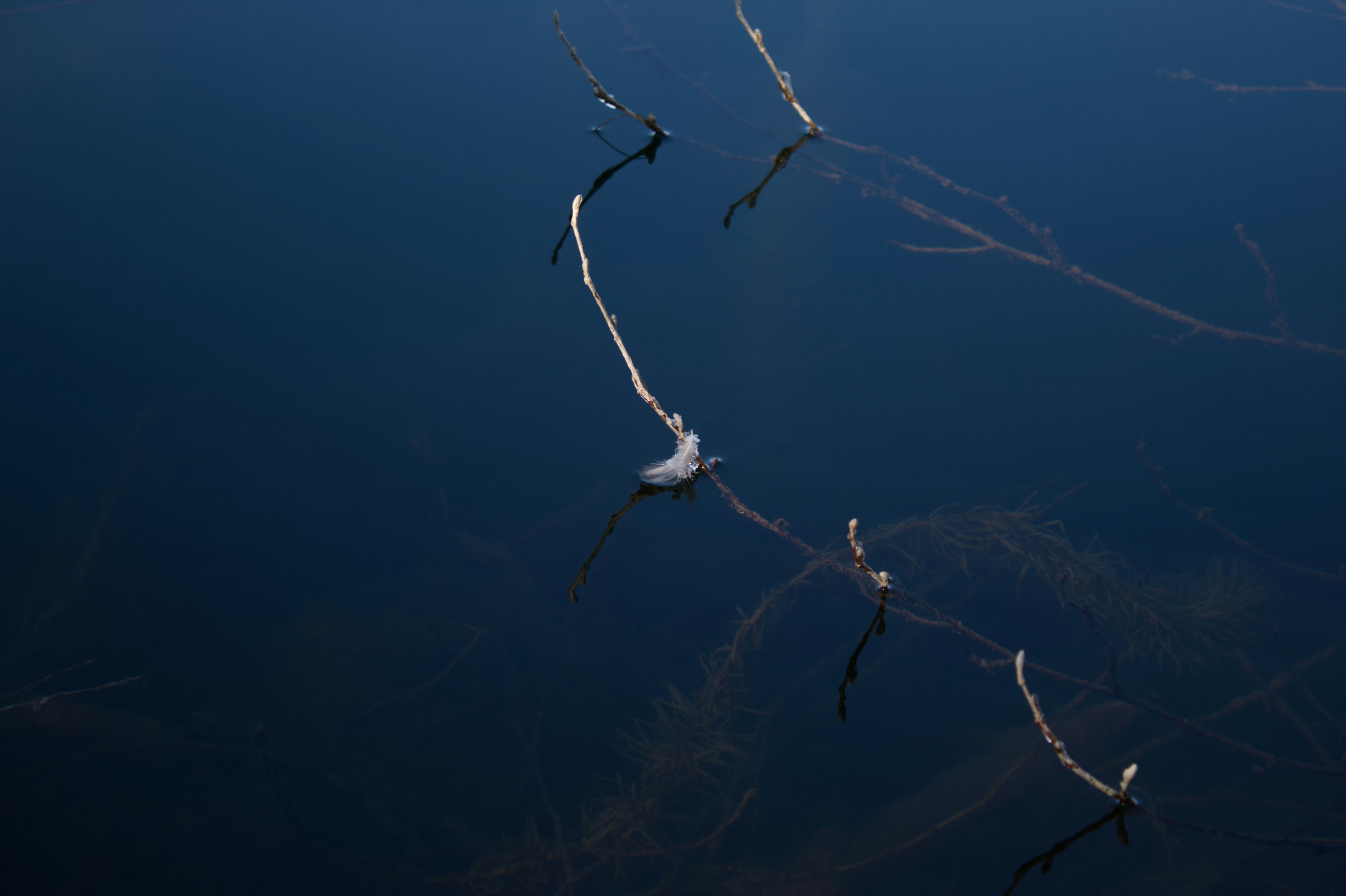 Photo by spaceboundstudio