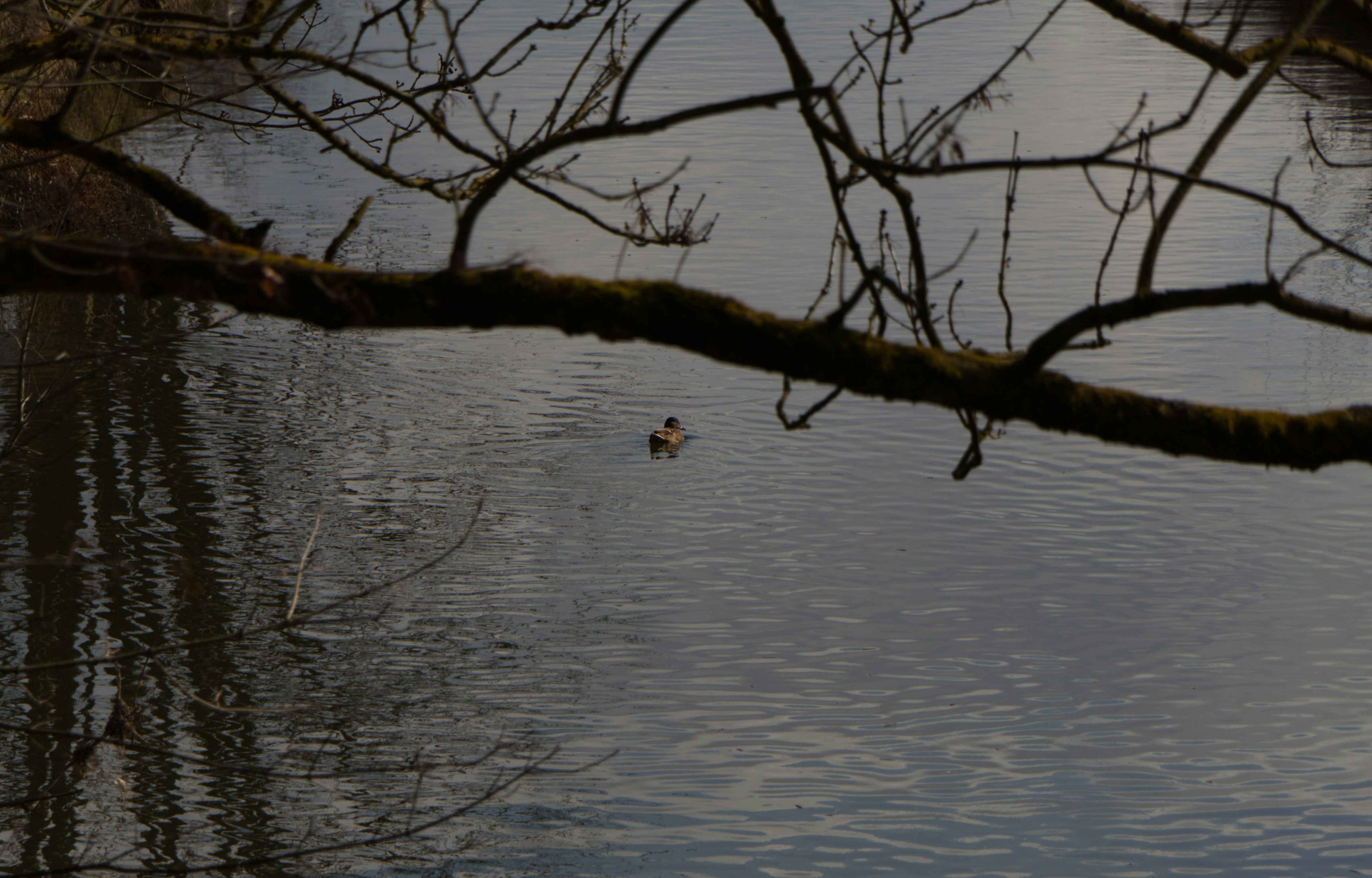 Photo by spaceboundstudio