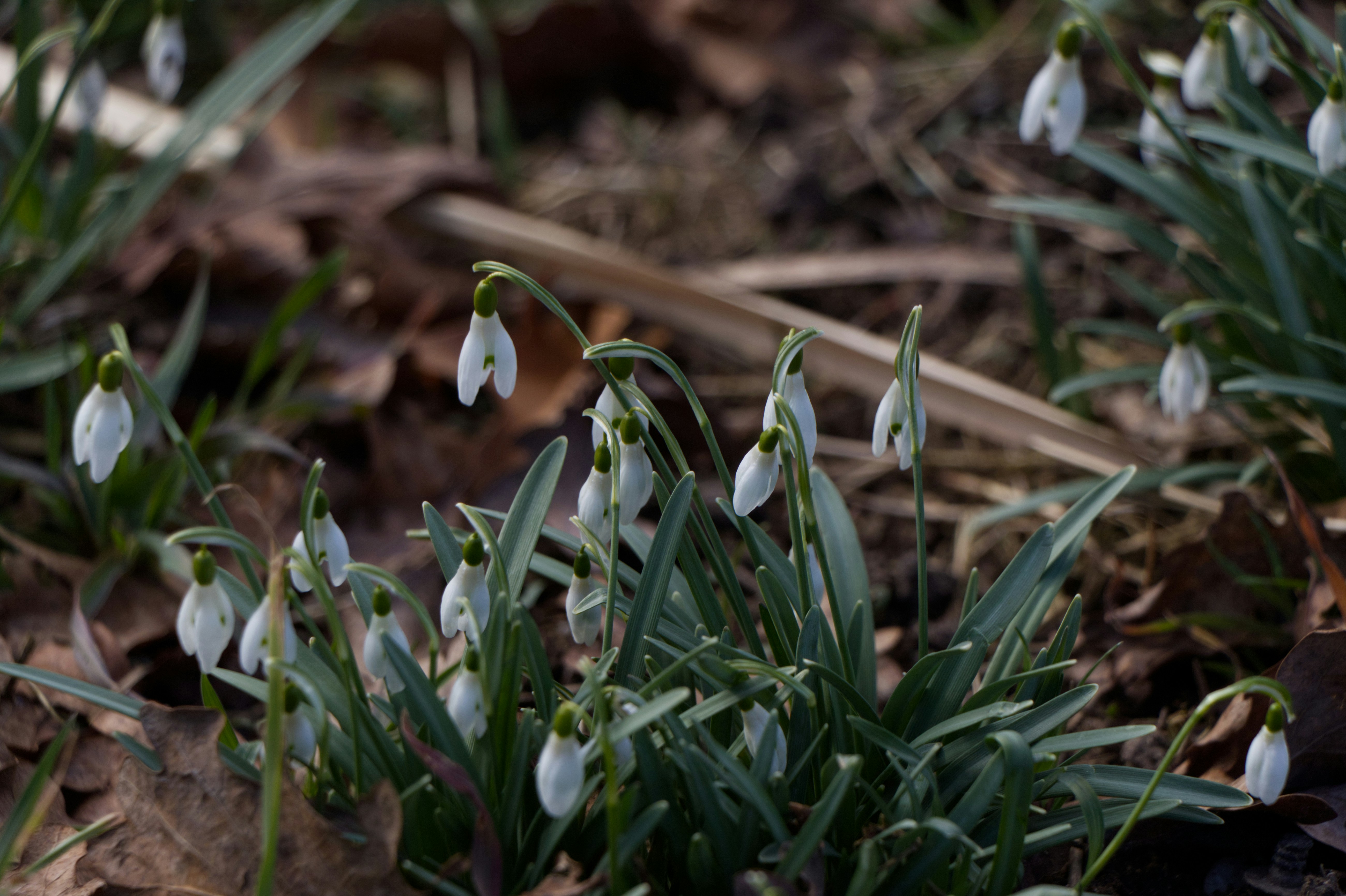 Photo by spaceboundstudio