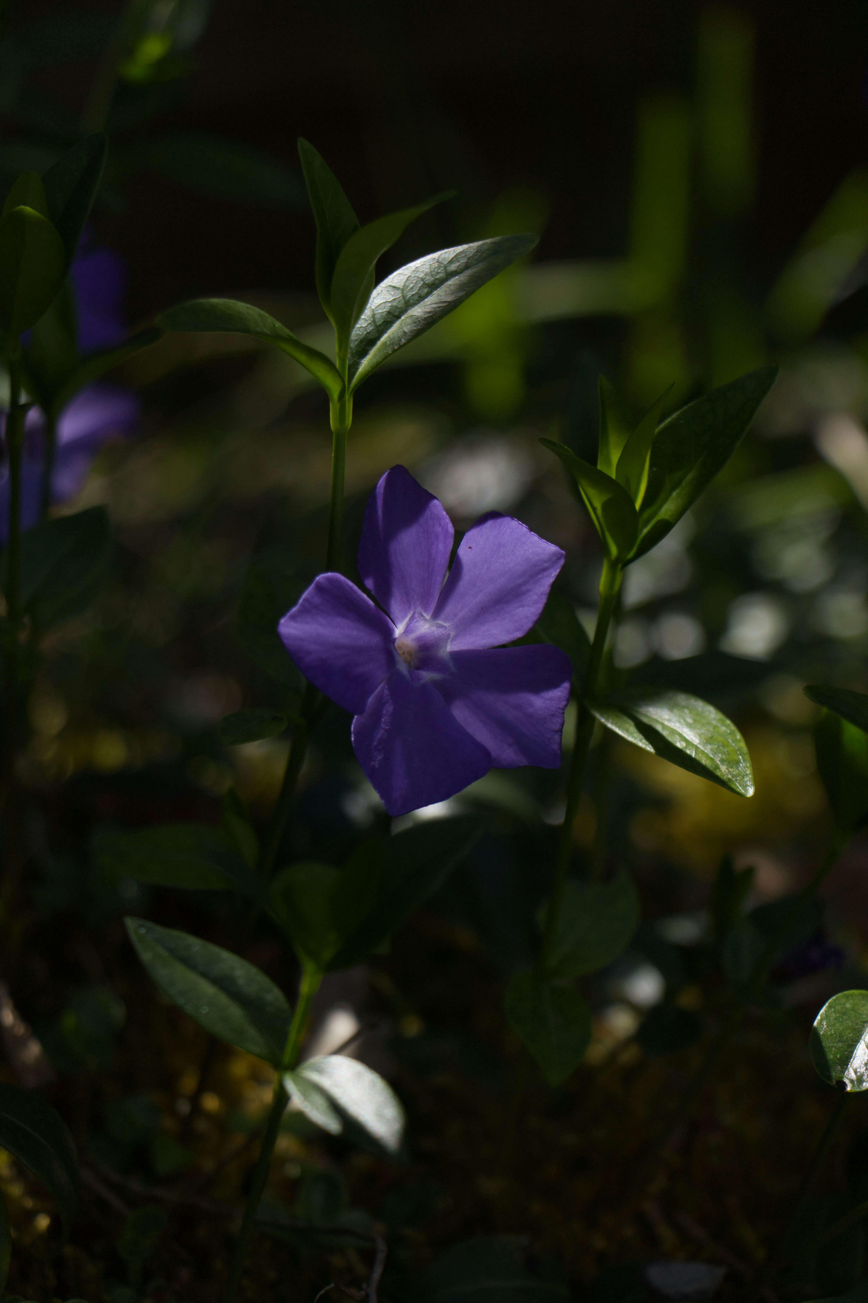 Photo by spaceboundstudio