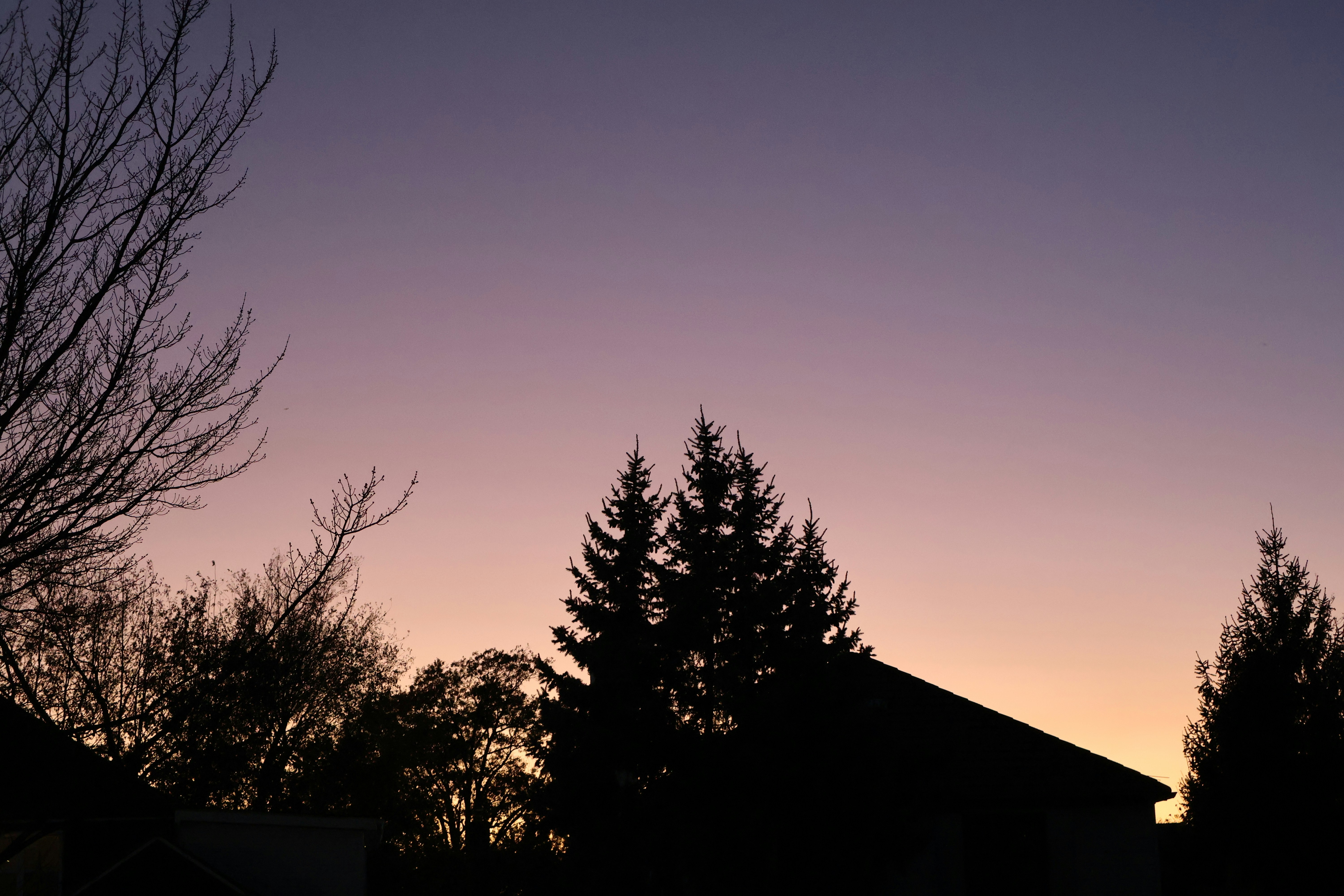 Photo by kasidneyfer