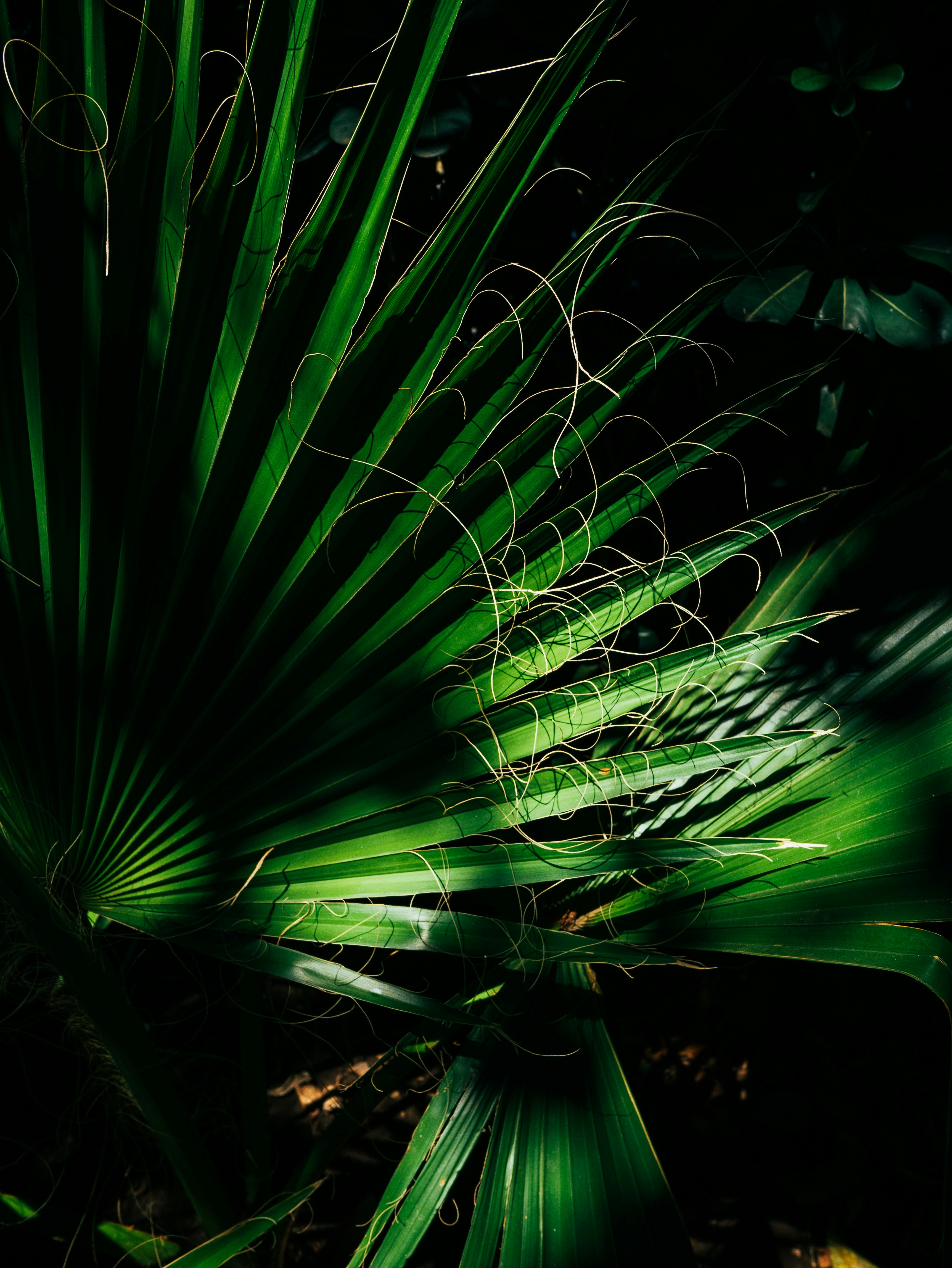 Photo by sergeibulynin