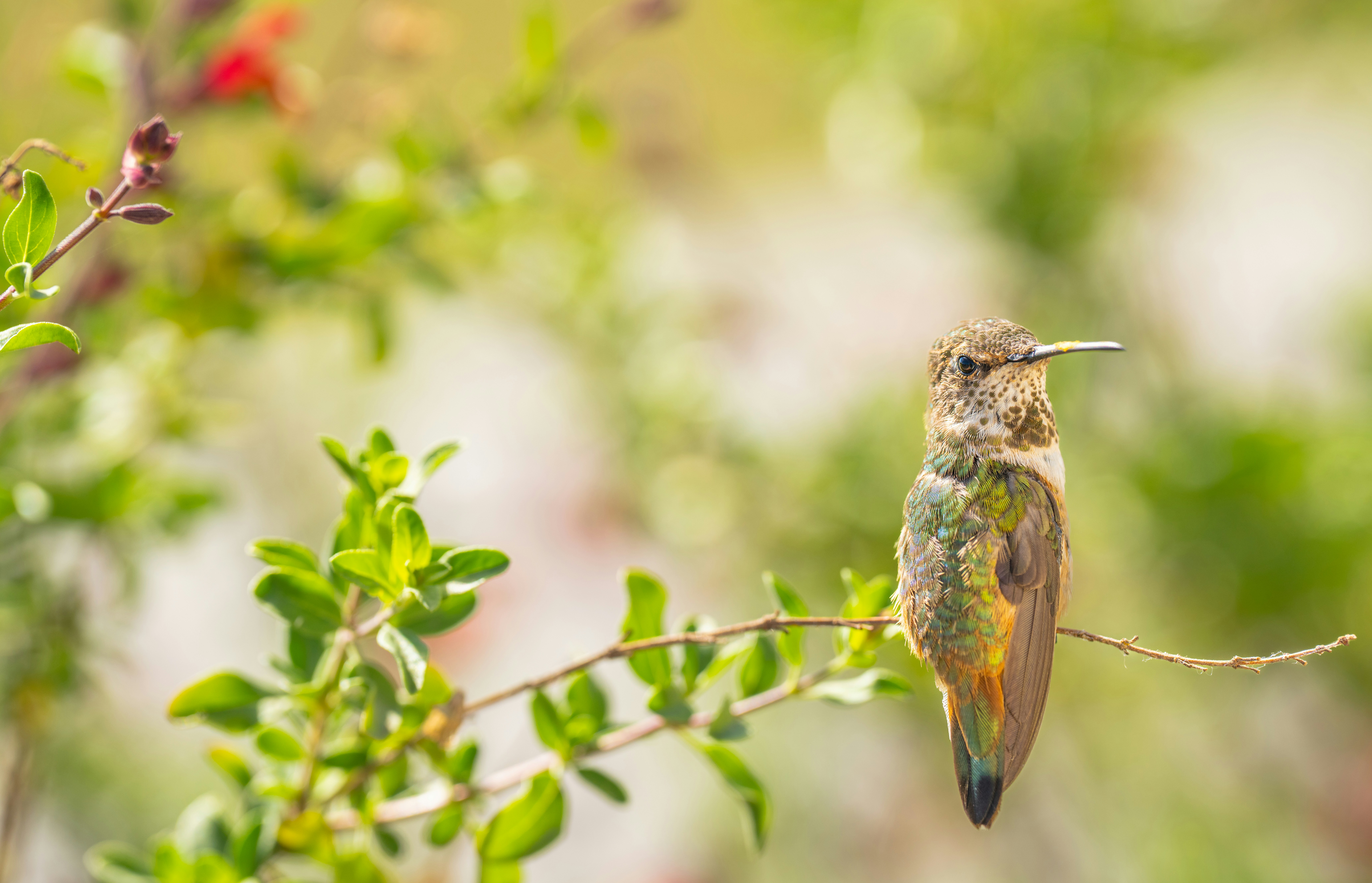 Photo by happy_pixel