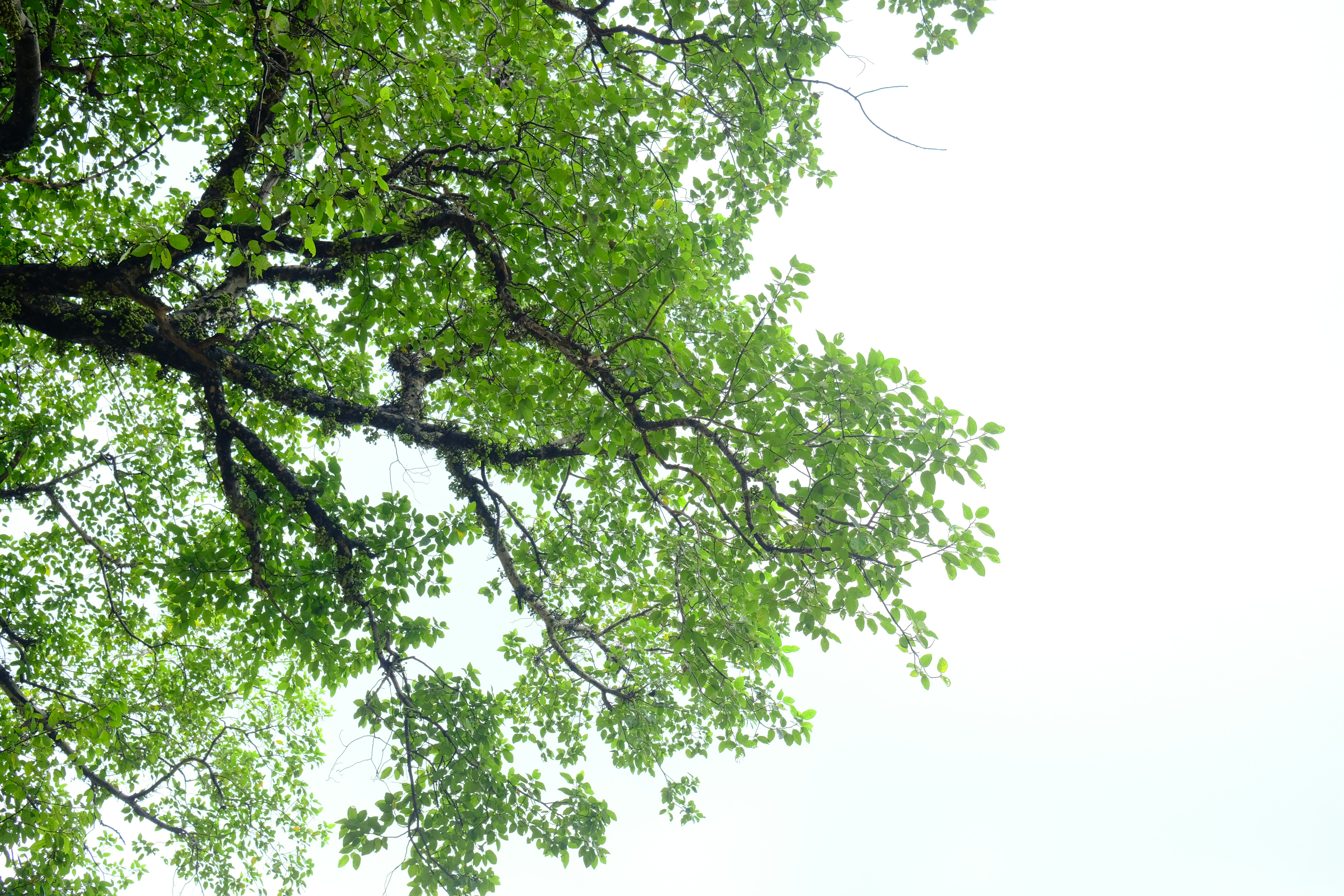 Photo by rahuulmiishra