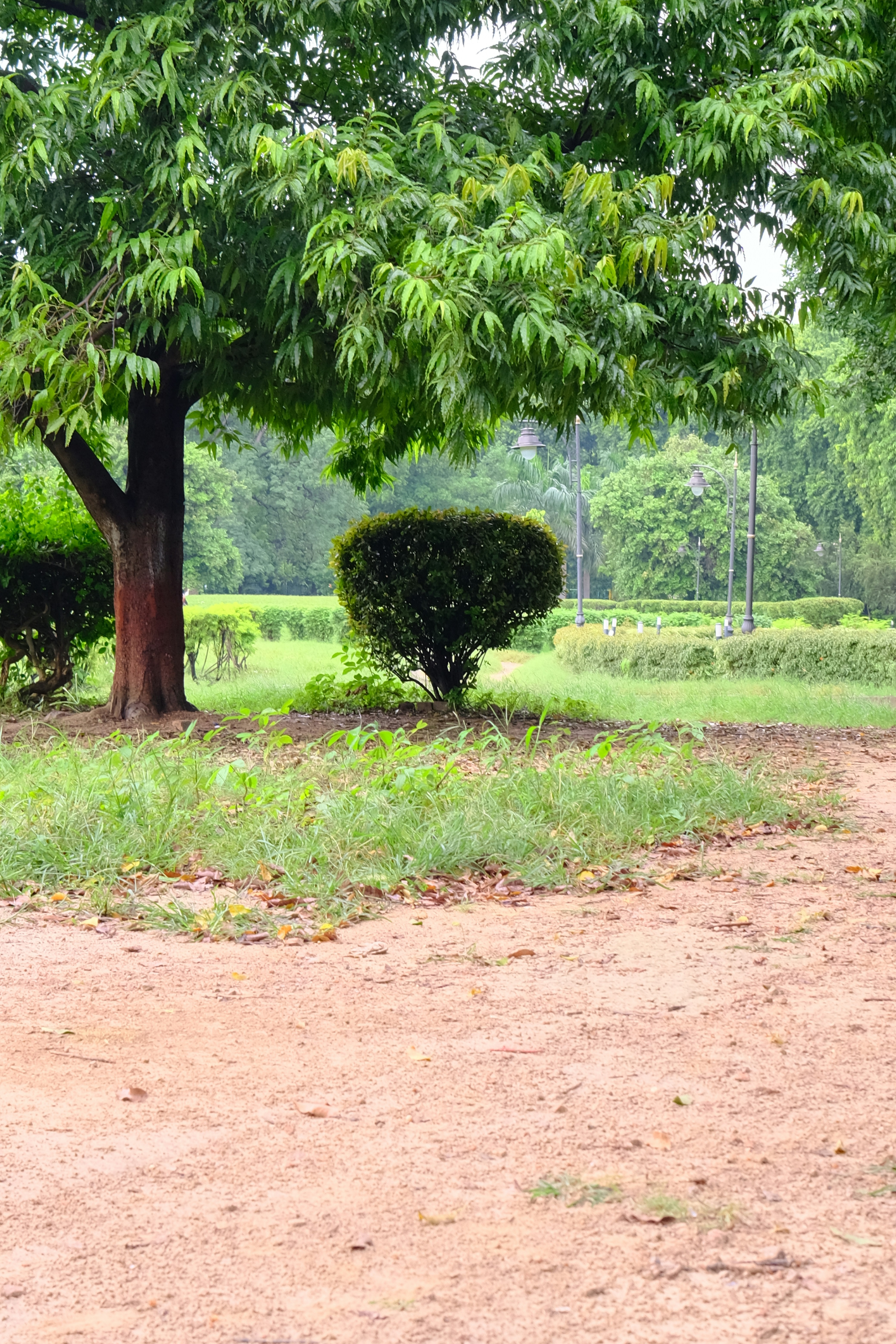 Photo by rahuulmiishra