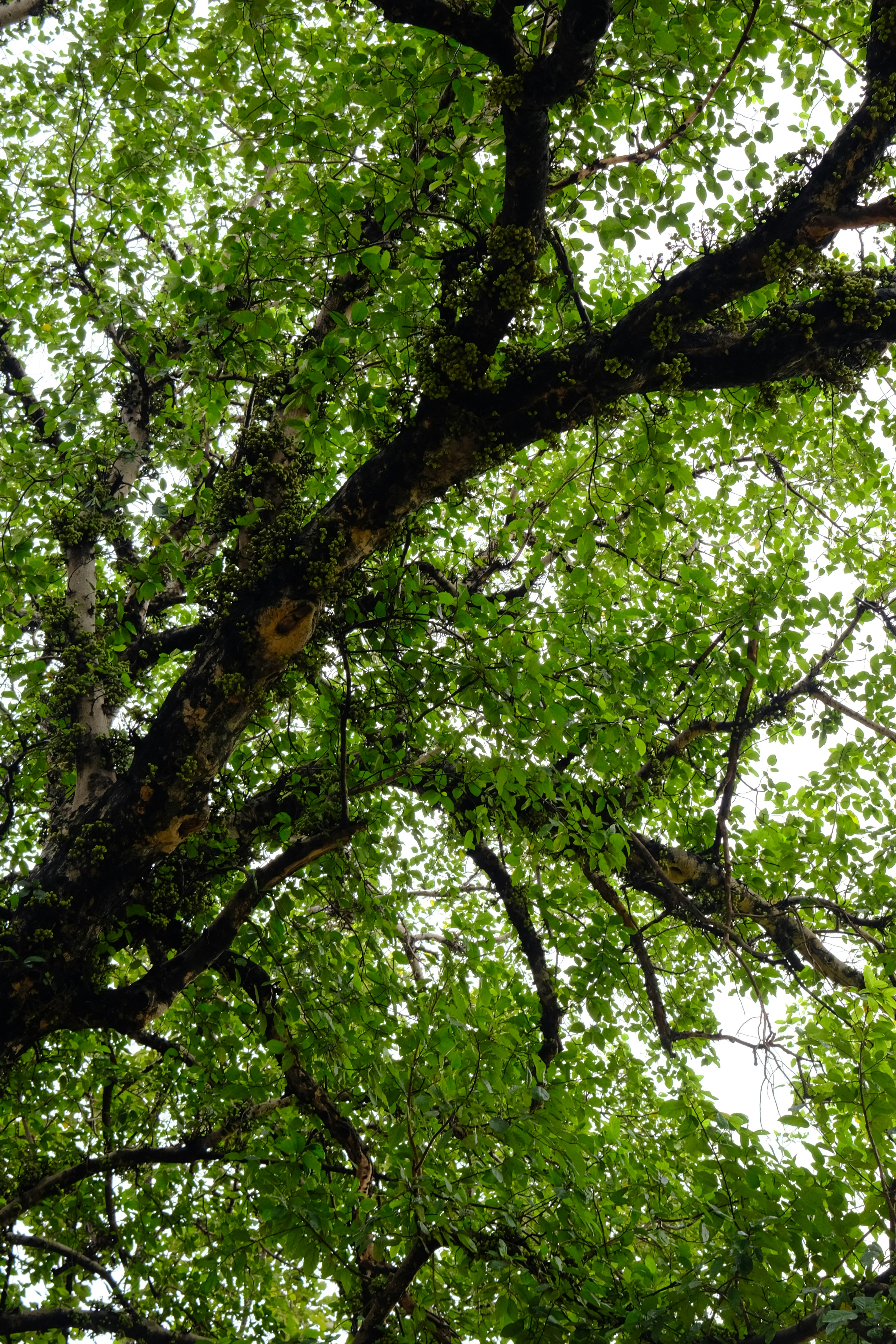 Photo by rahuulmiishra