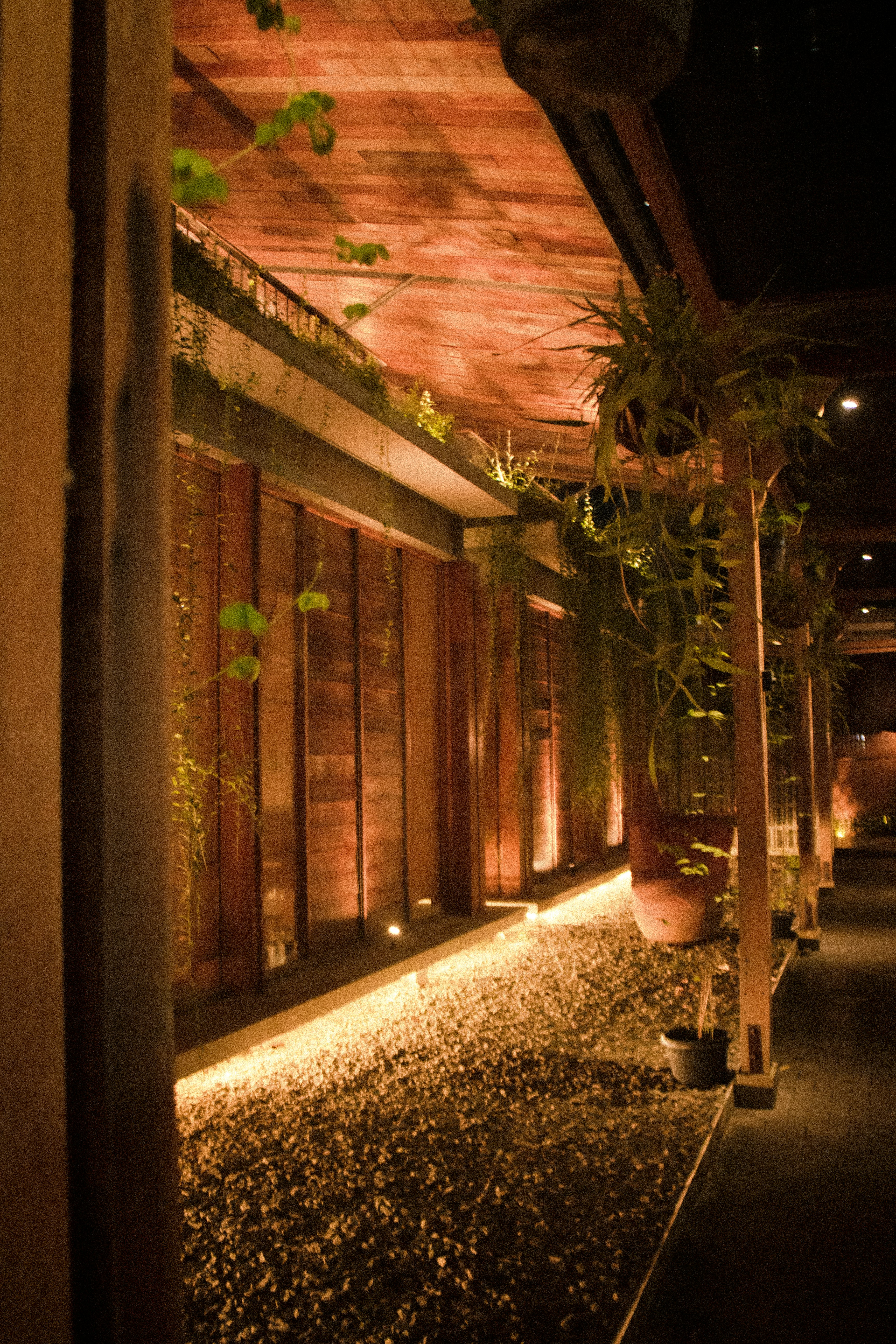 Walkway with plants and warm lighting