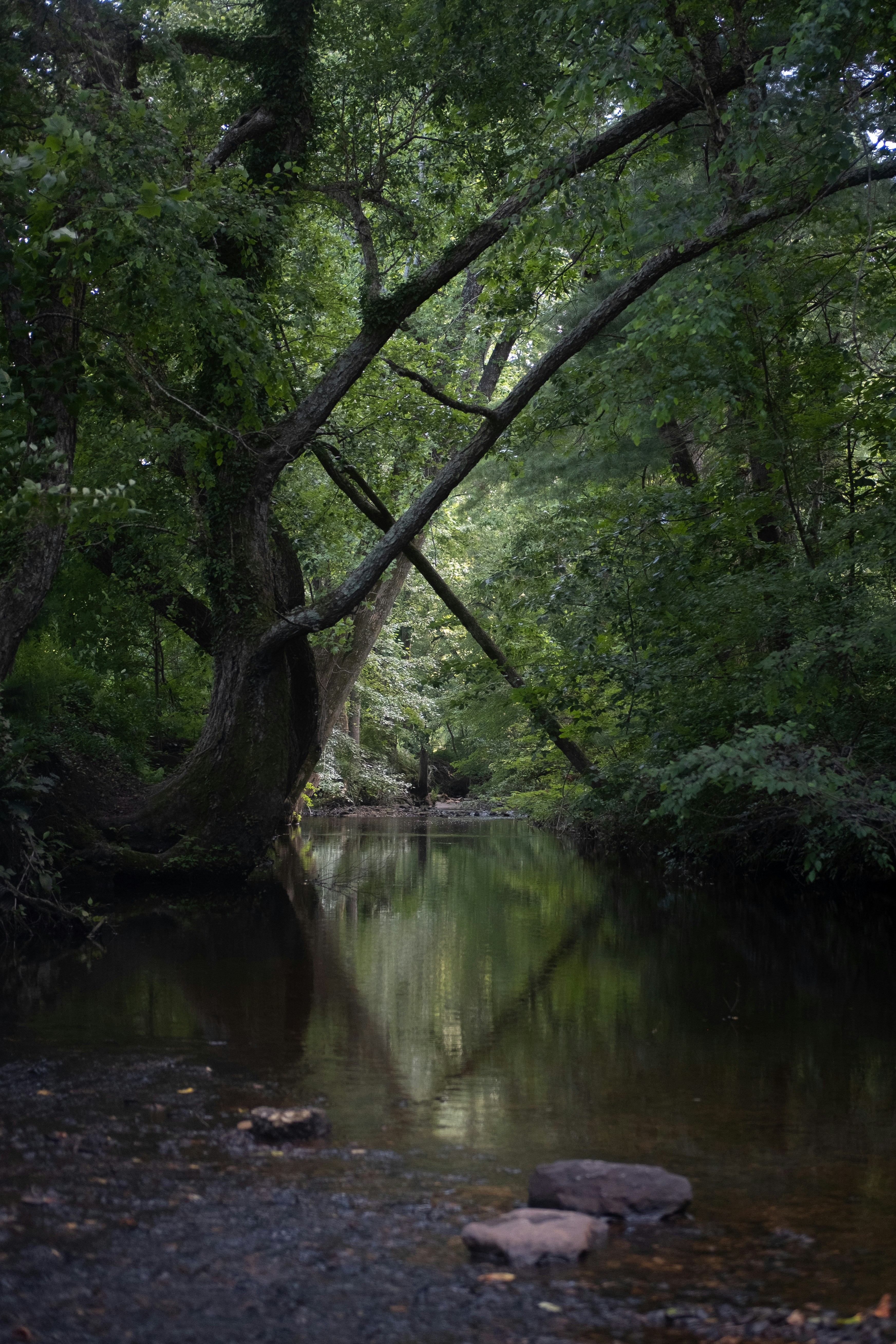 Photo by thejustinhall