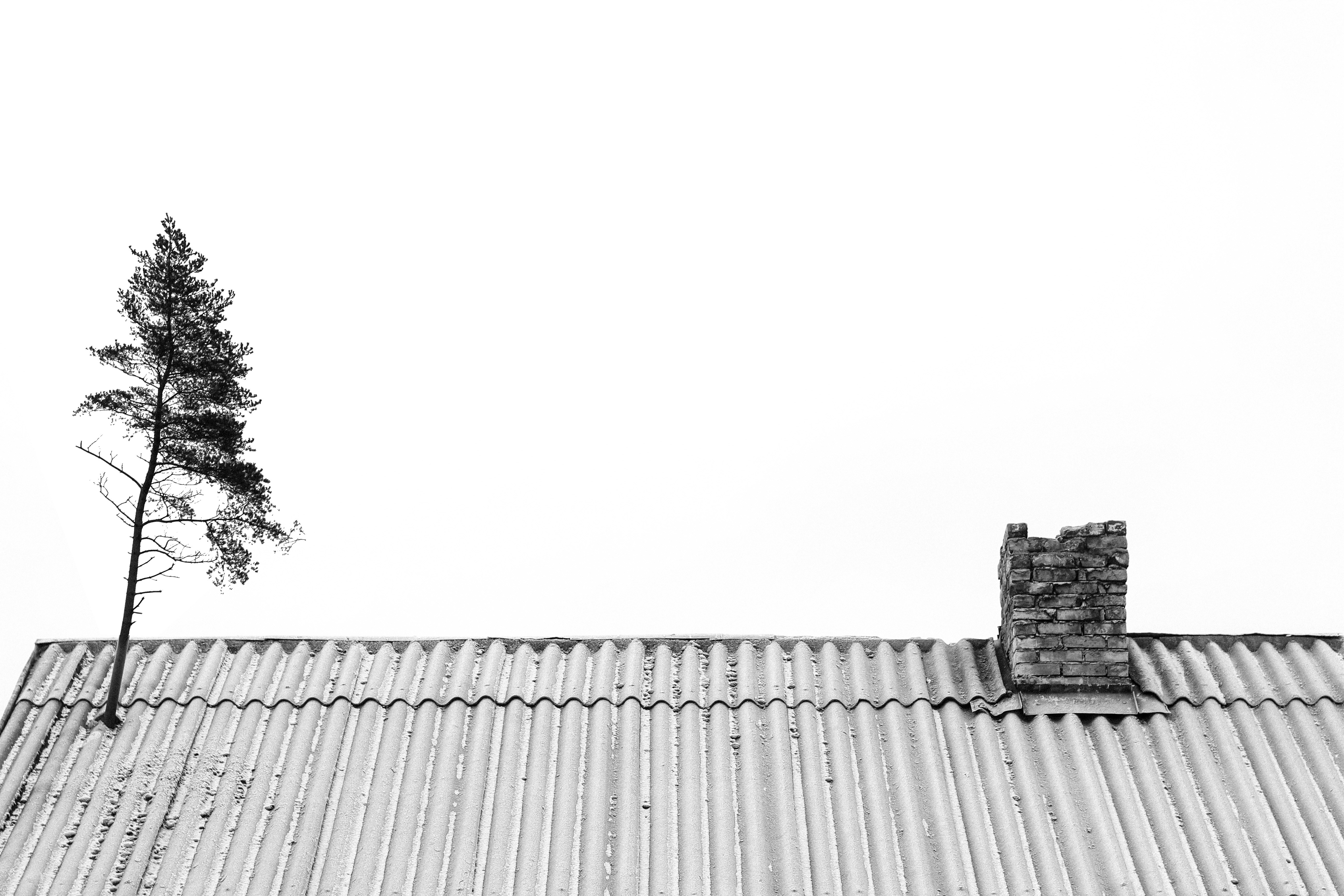 Photo by reinisbruzitis