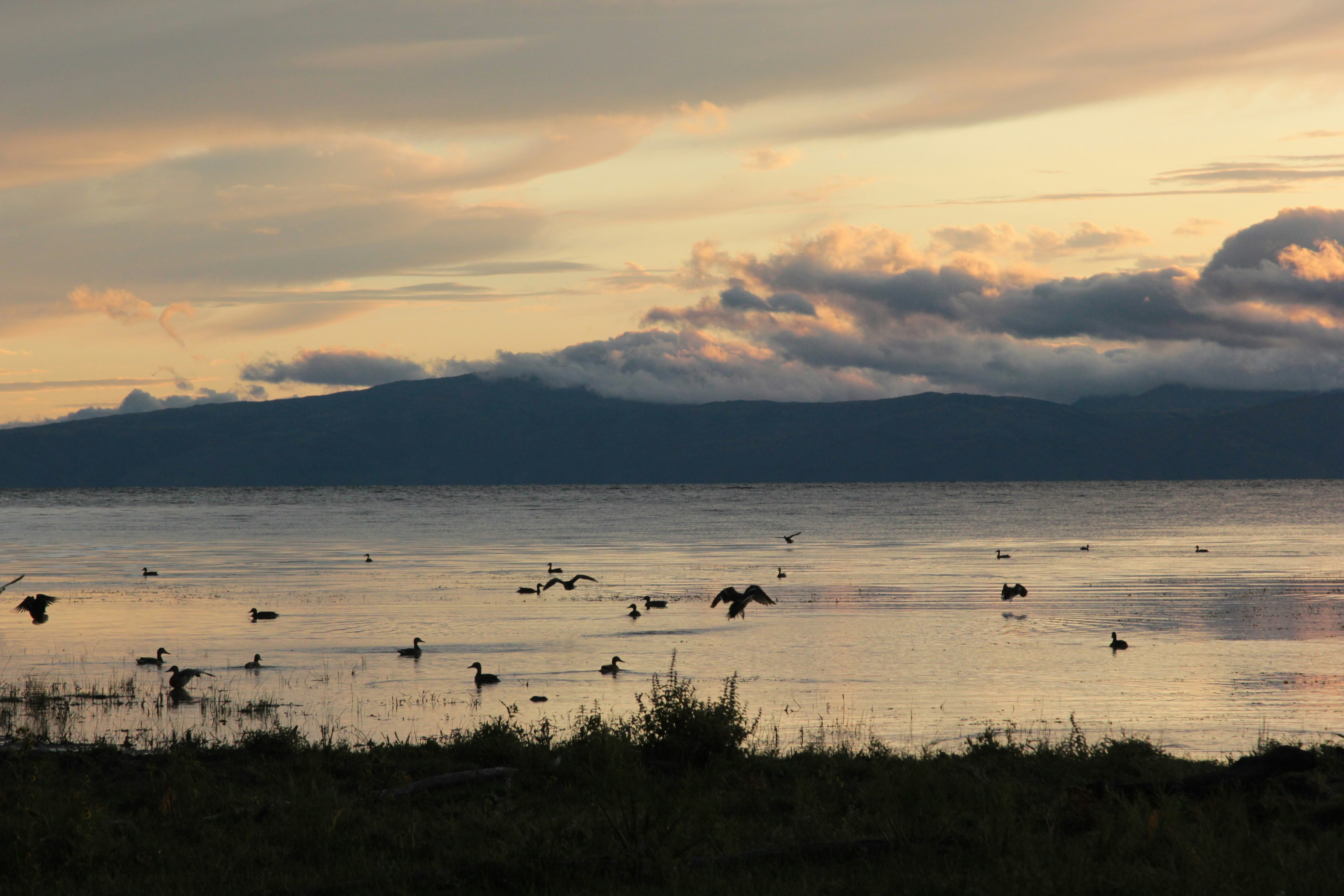 Photo by natalia_golovanova