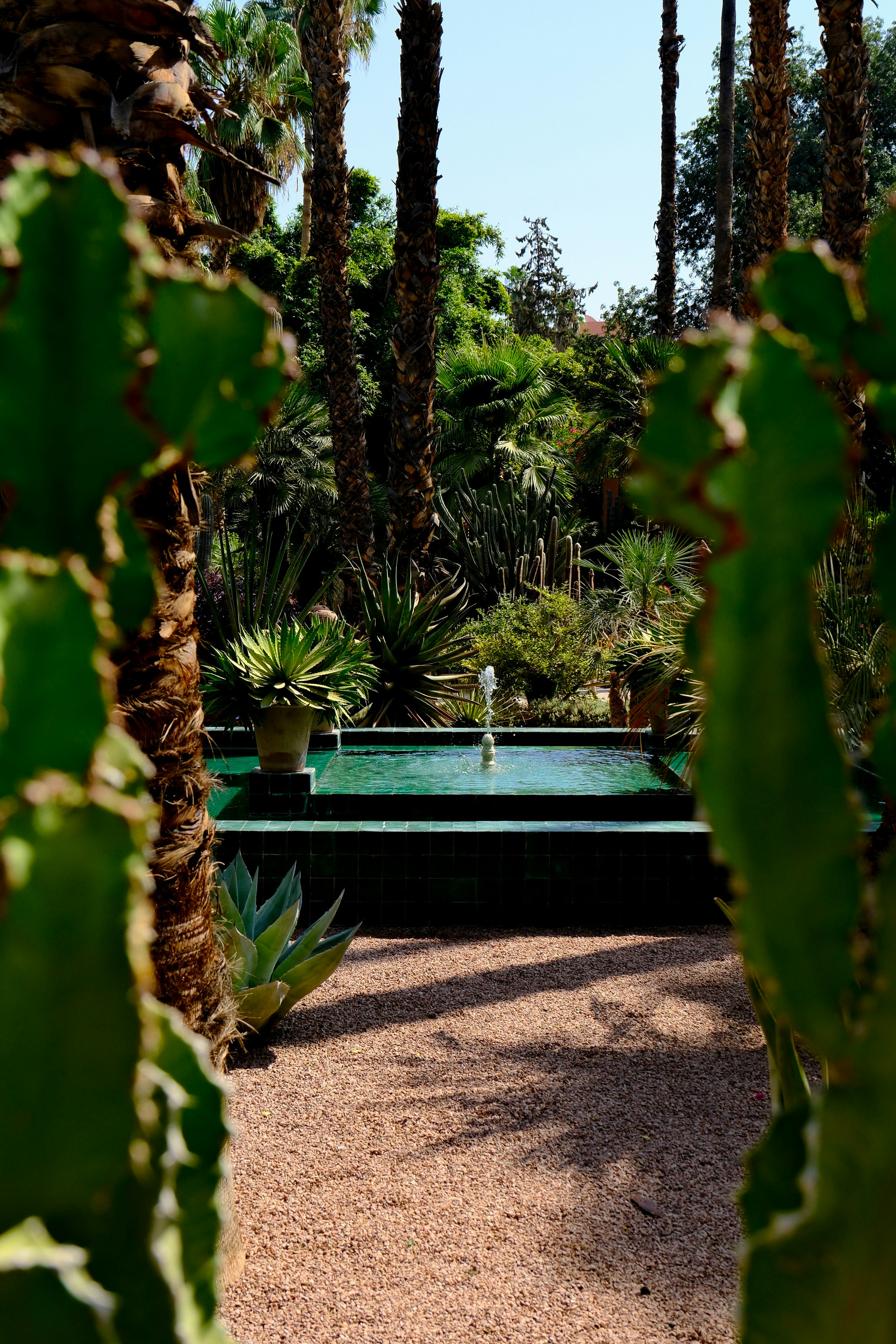 Photo by raulmermans