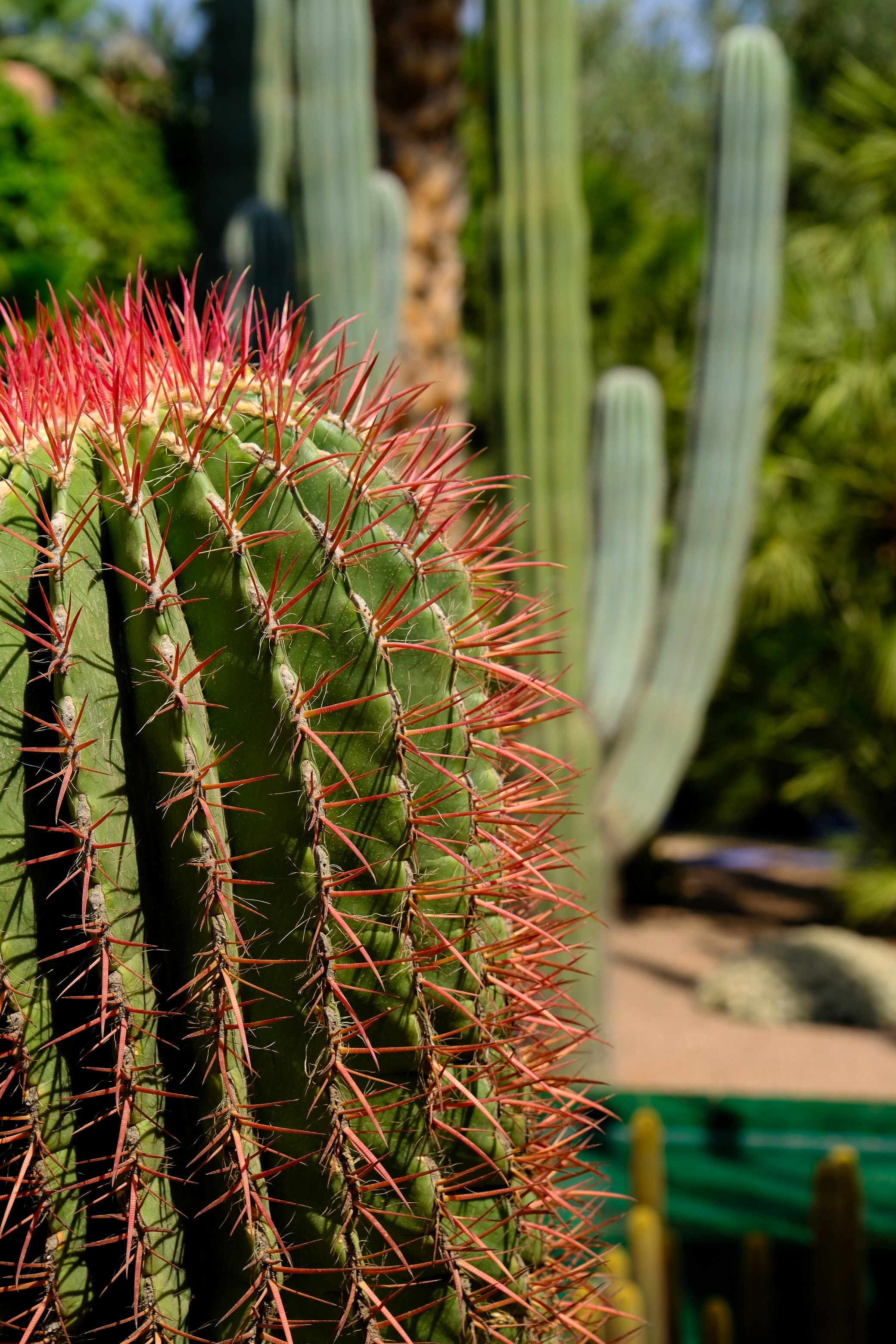 Photo by raulmermans