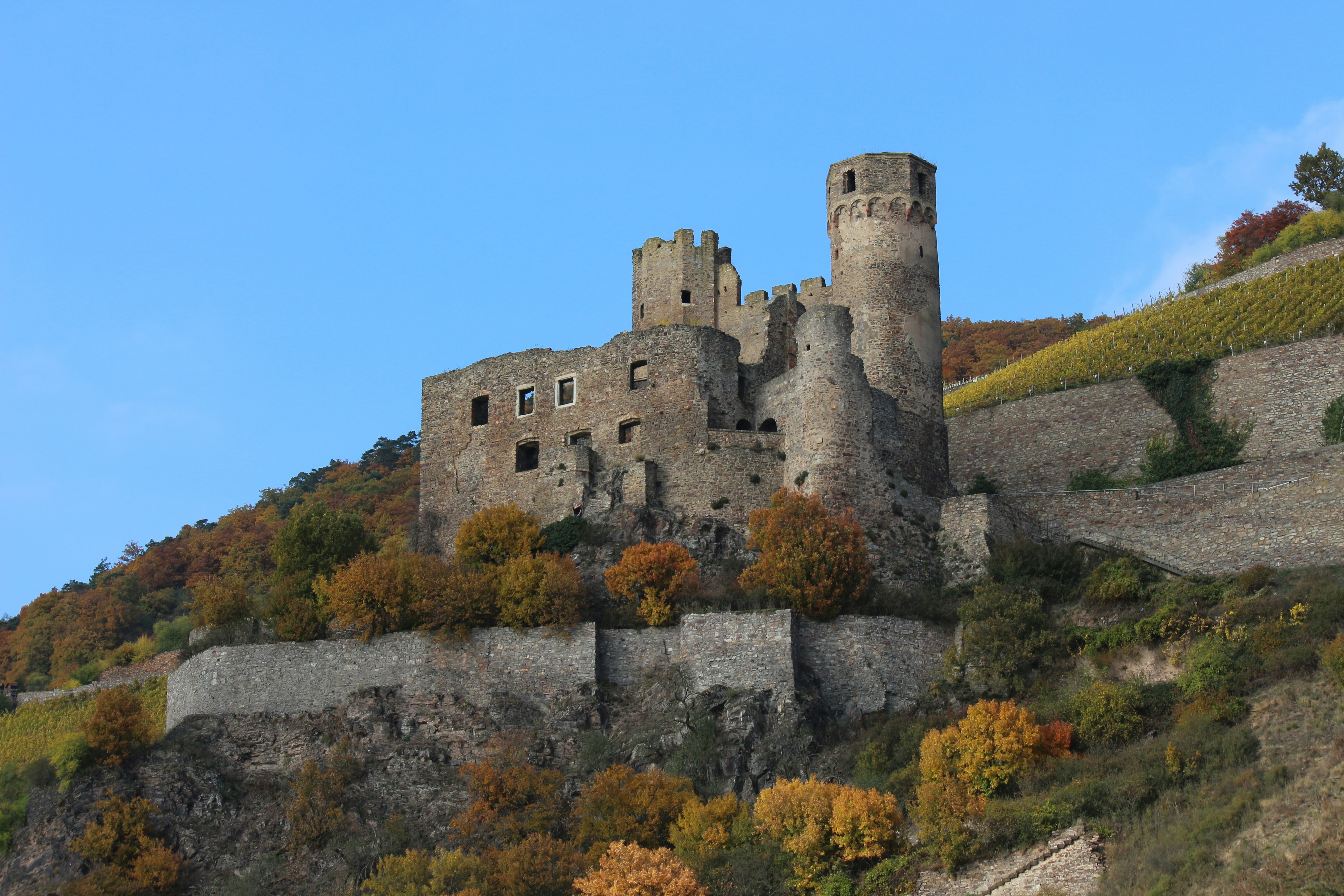 Photo by openpicturesludo