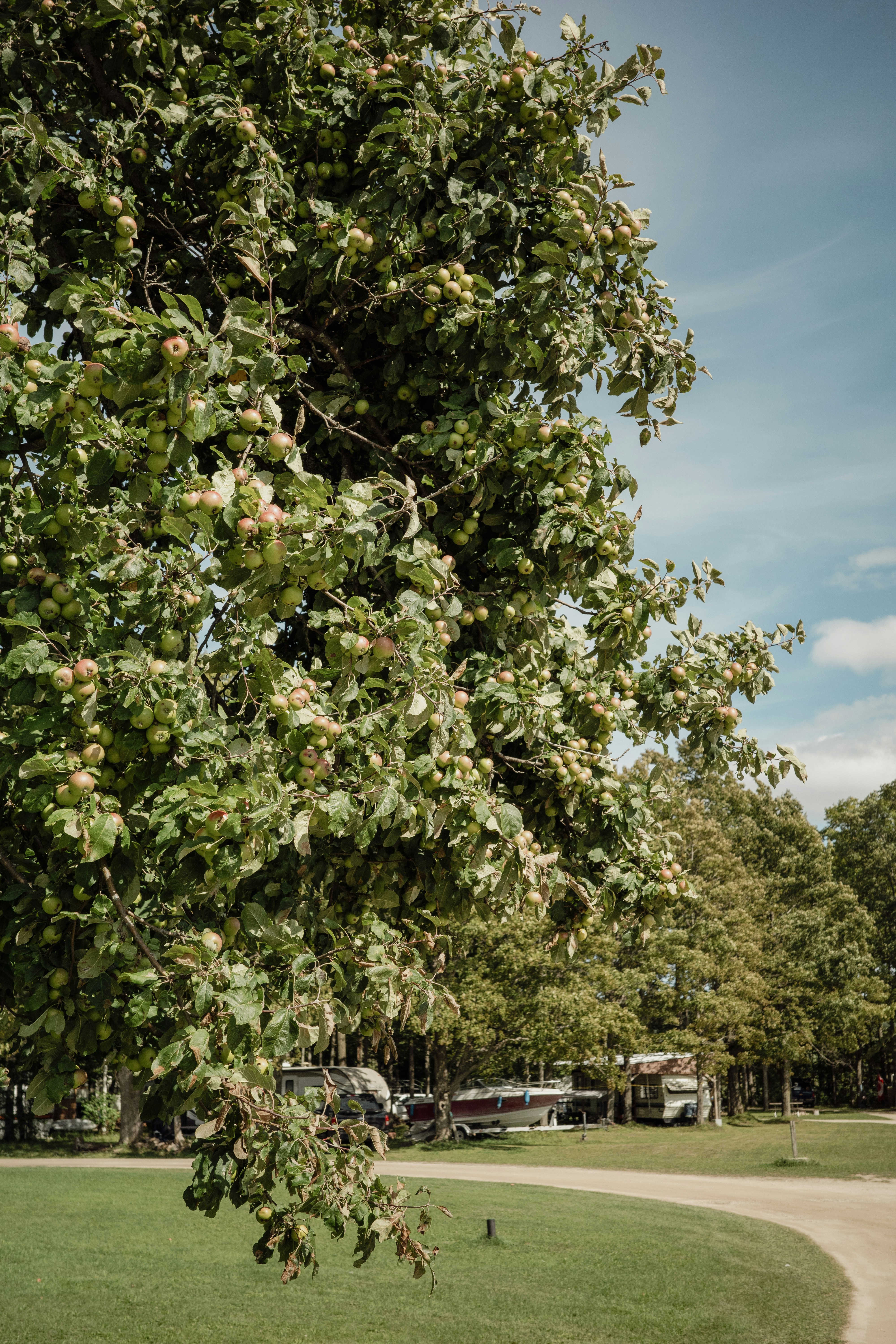 Photo by findway_jerry