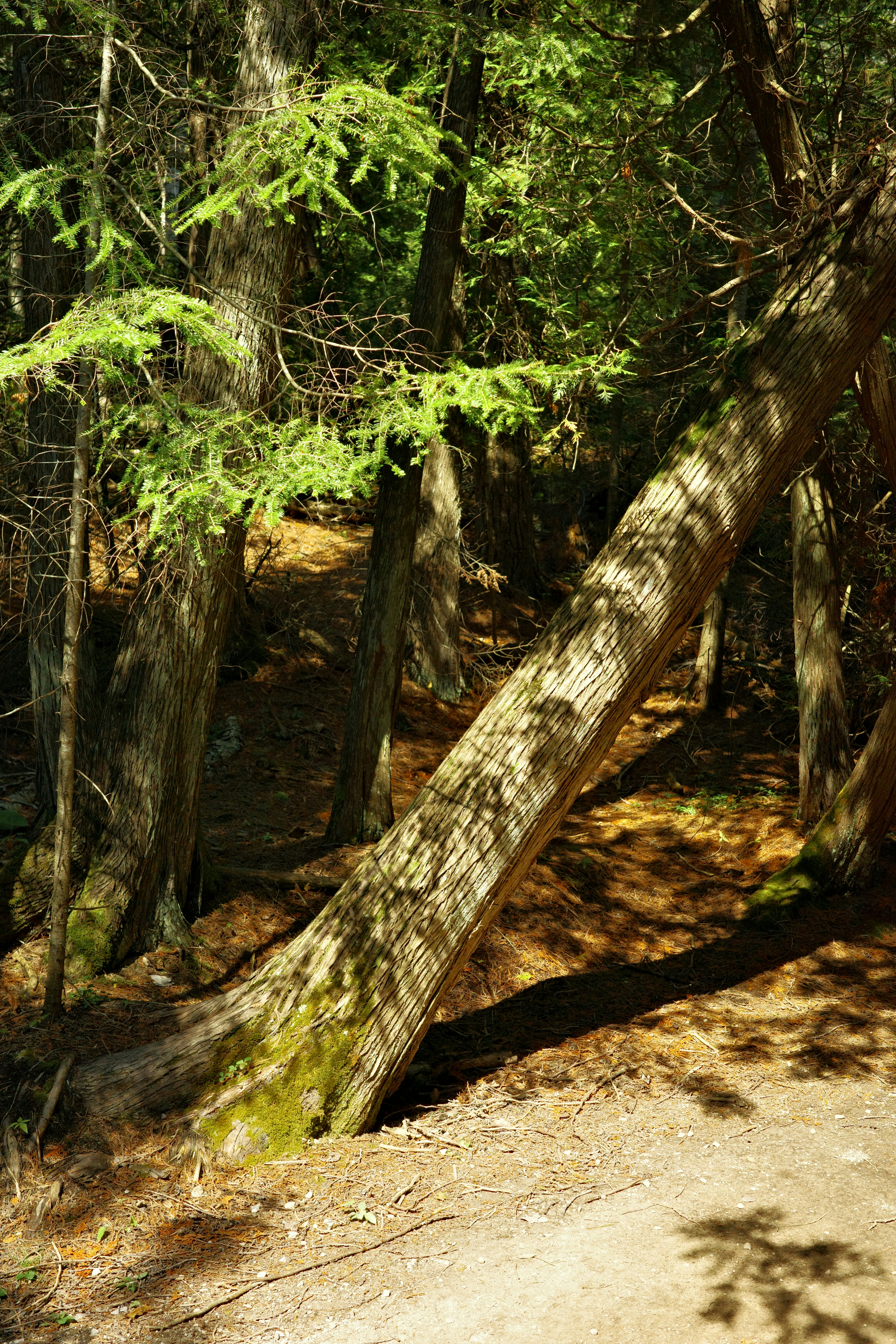 Photo by findway_jerry