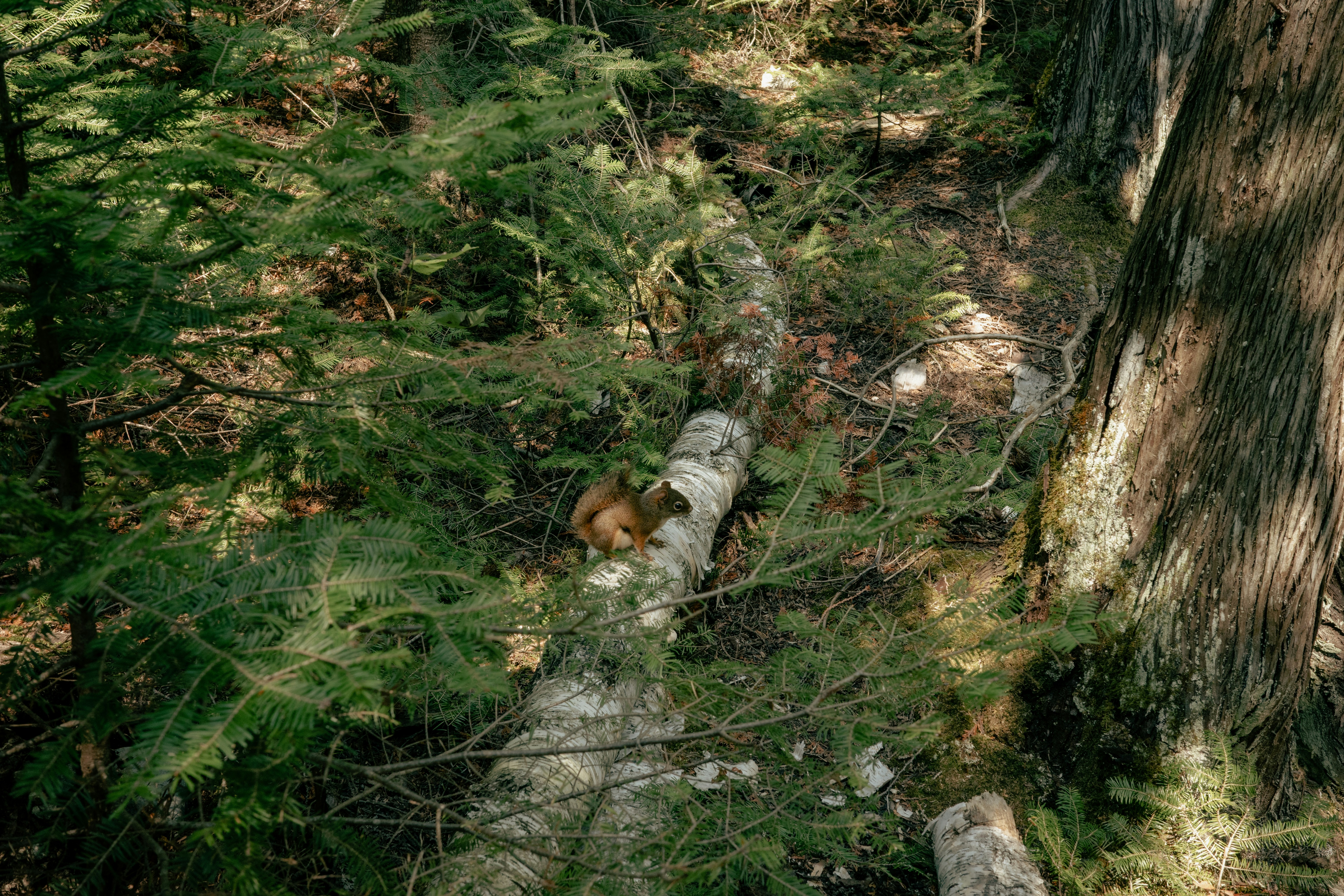 Photo by findway_jerry