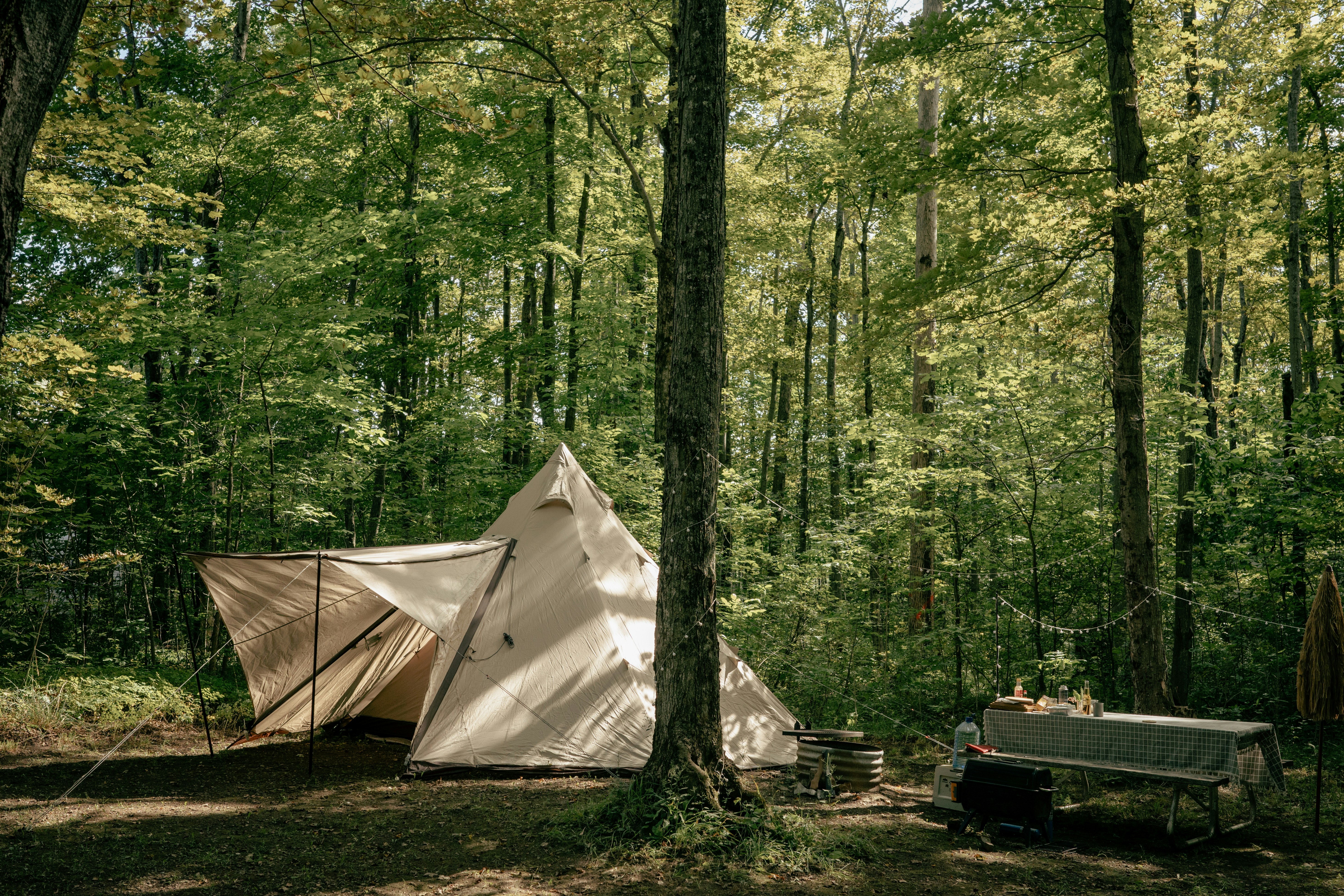 art stealth camping leave trace camping outdoor wilderness
, The Art of Stealth Camping: Leave No Trace, Enjoy More 3
