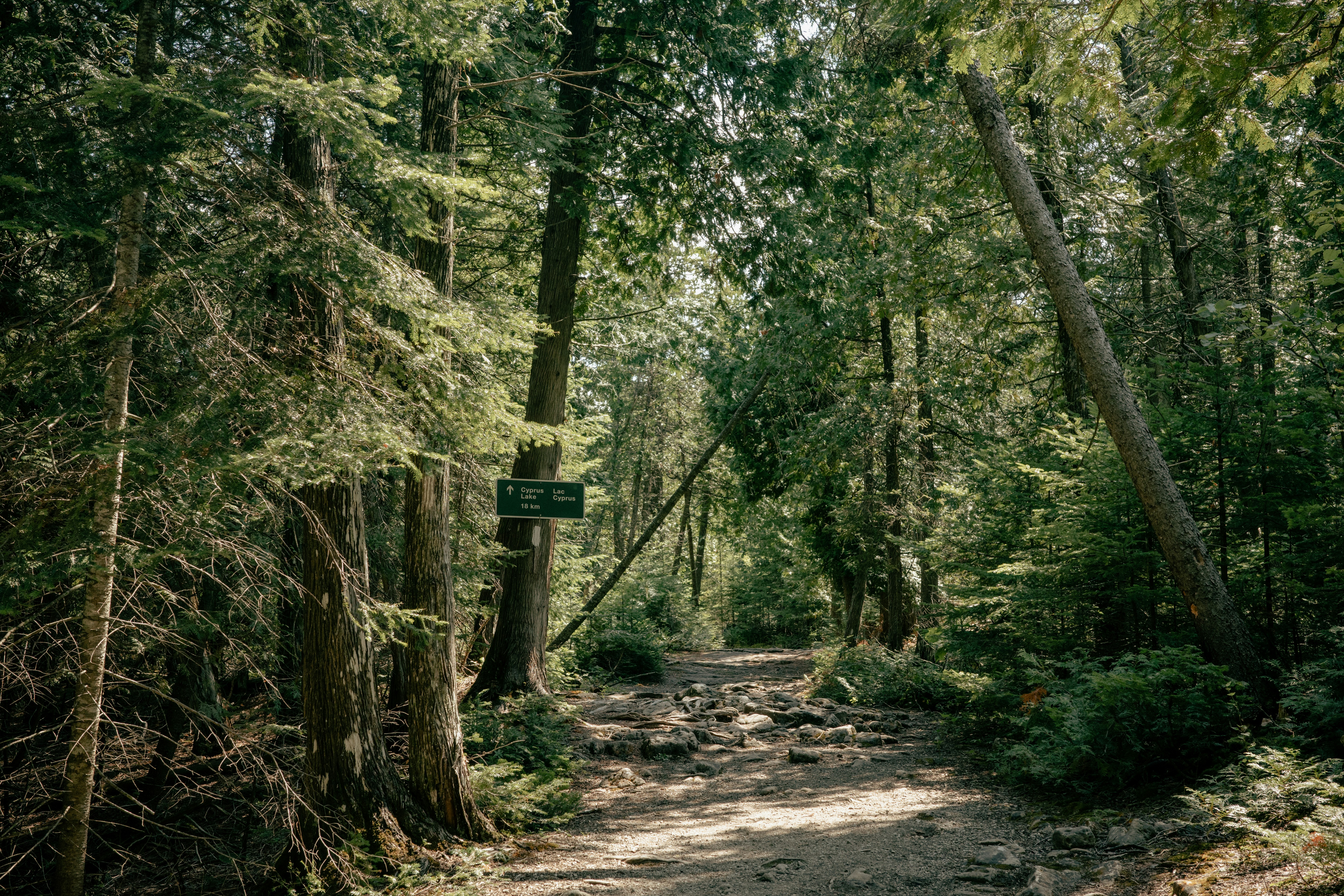 Photo by findway_jerry