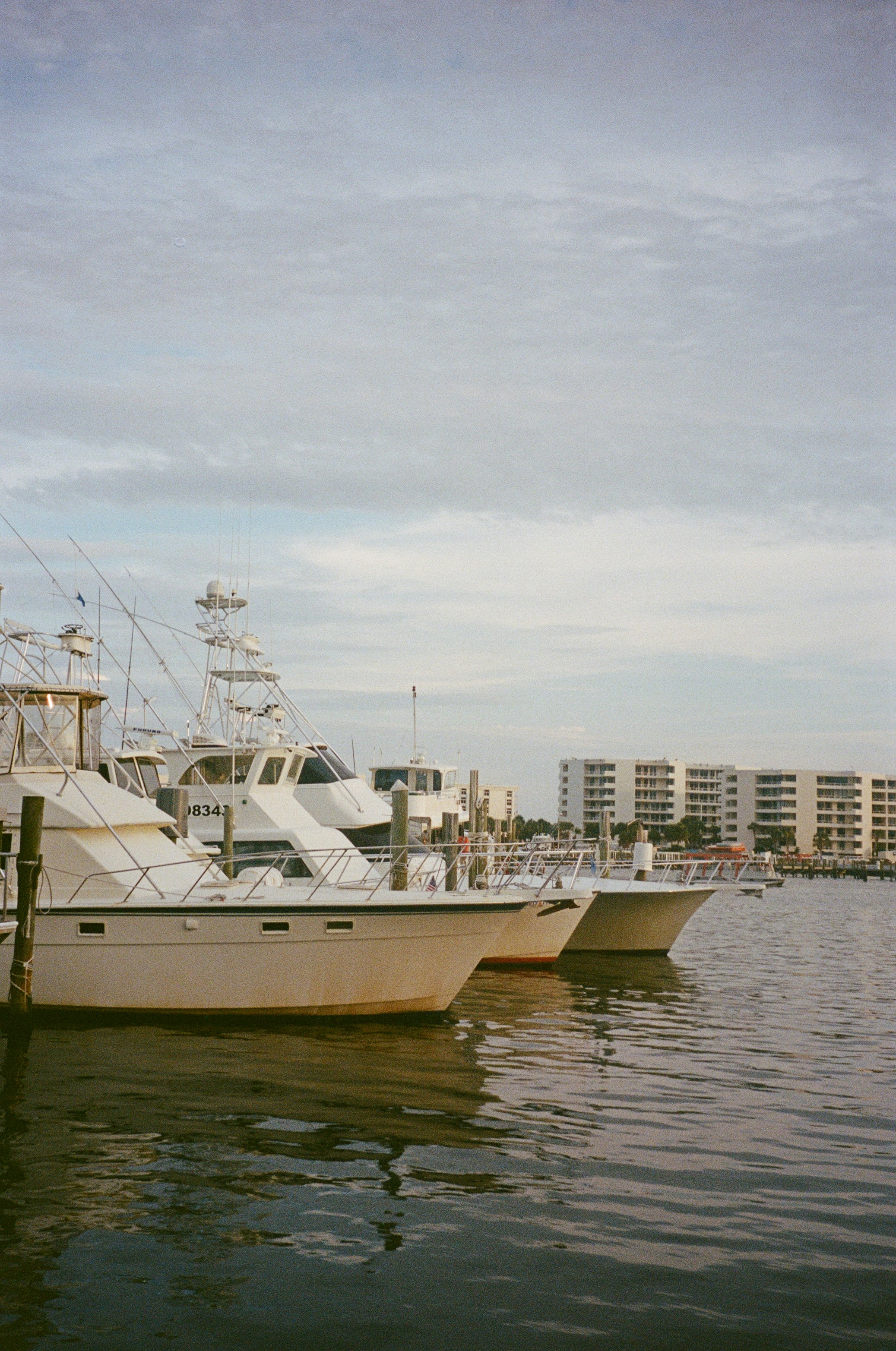 Photo by klanehenson