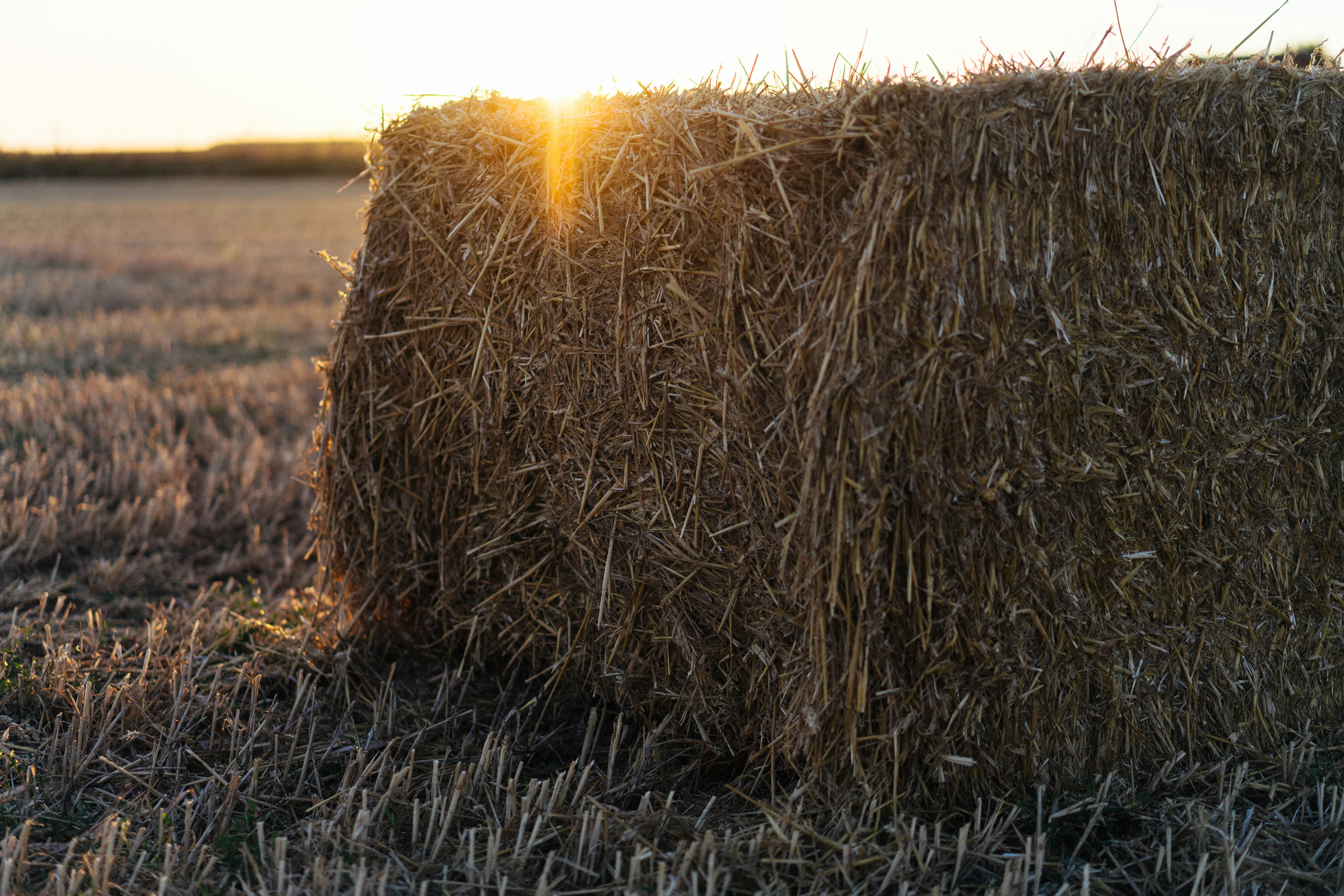 Photo by philhearing