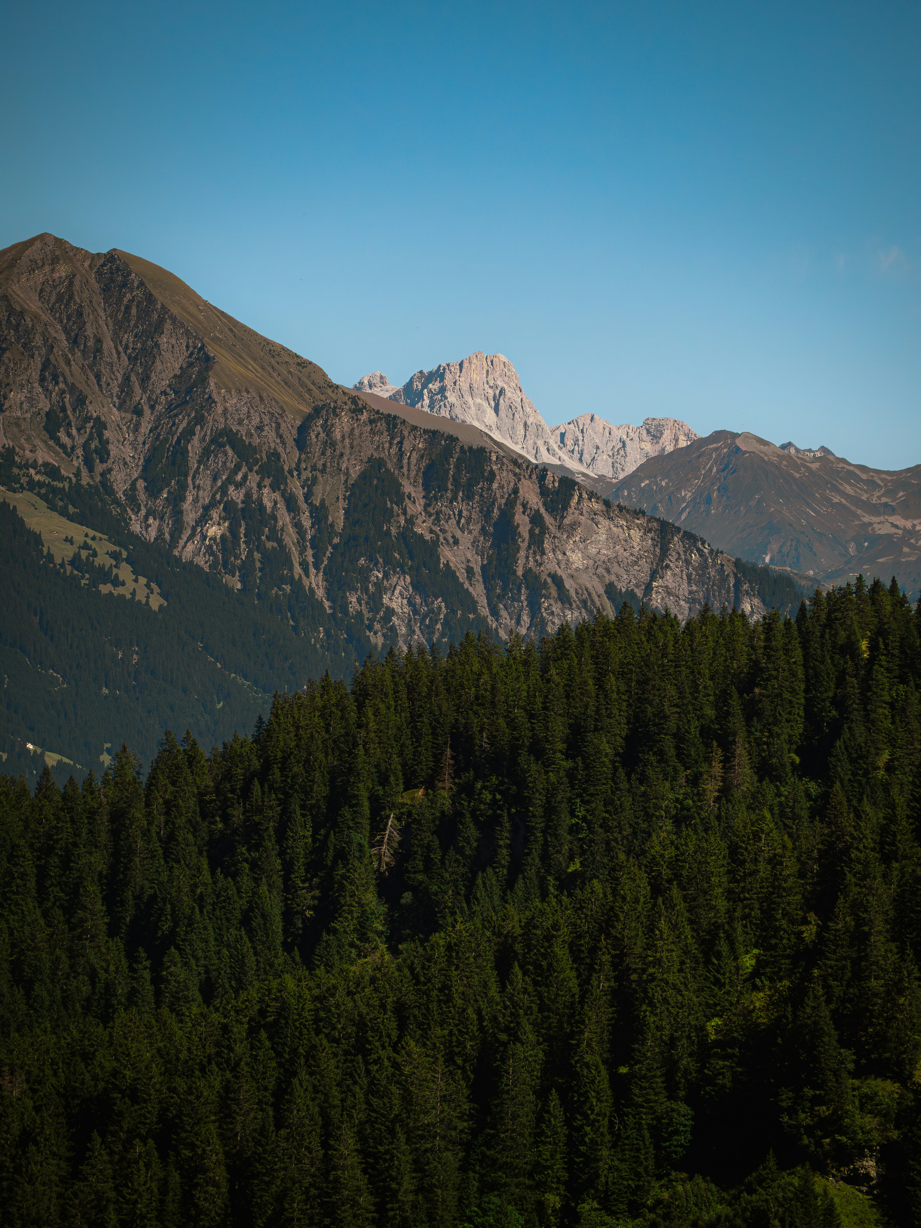 Photo by poli_graphy