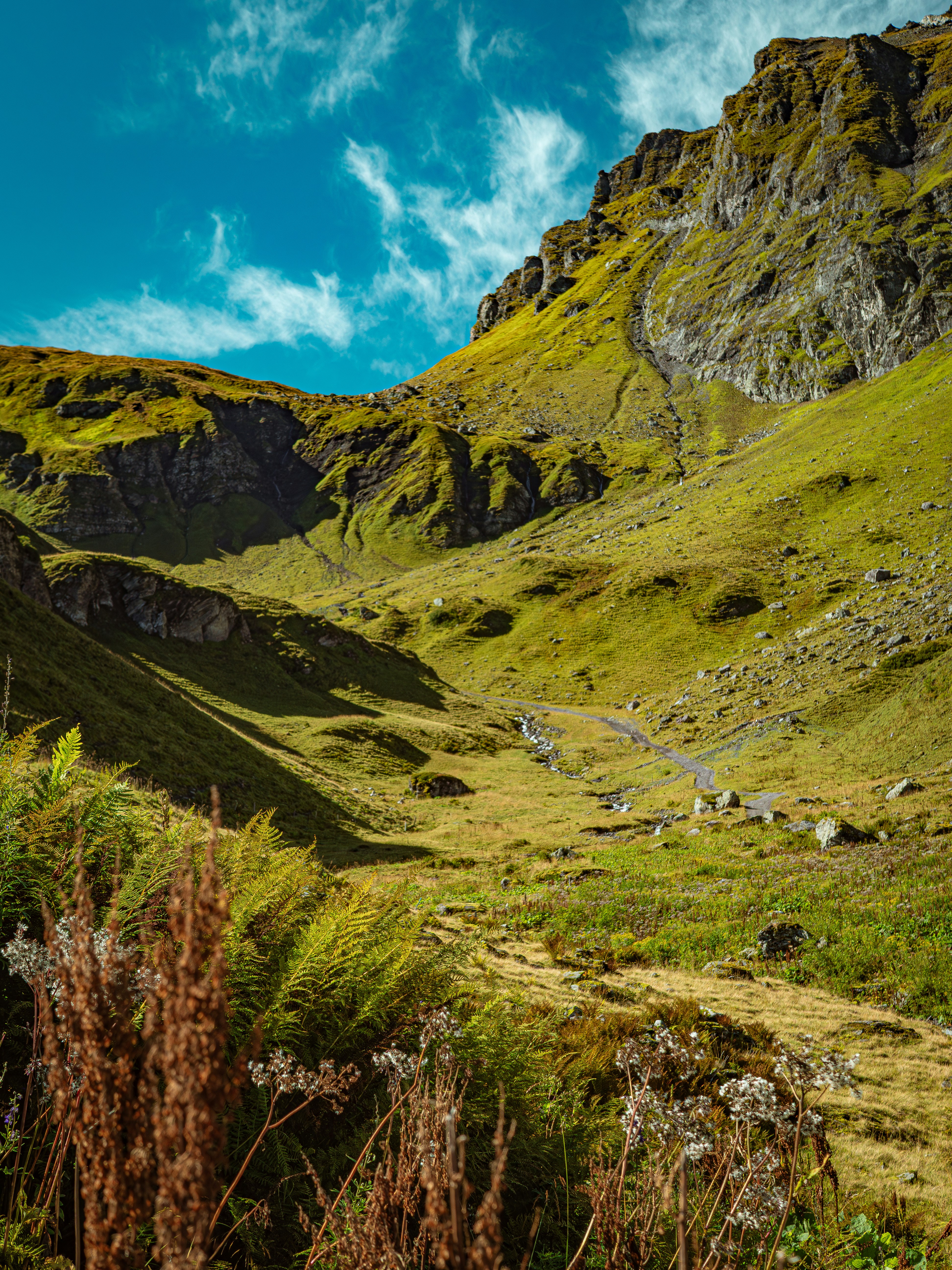 Photo by poli_graphy