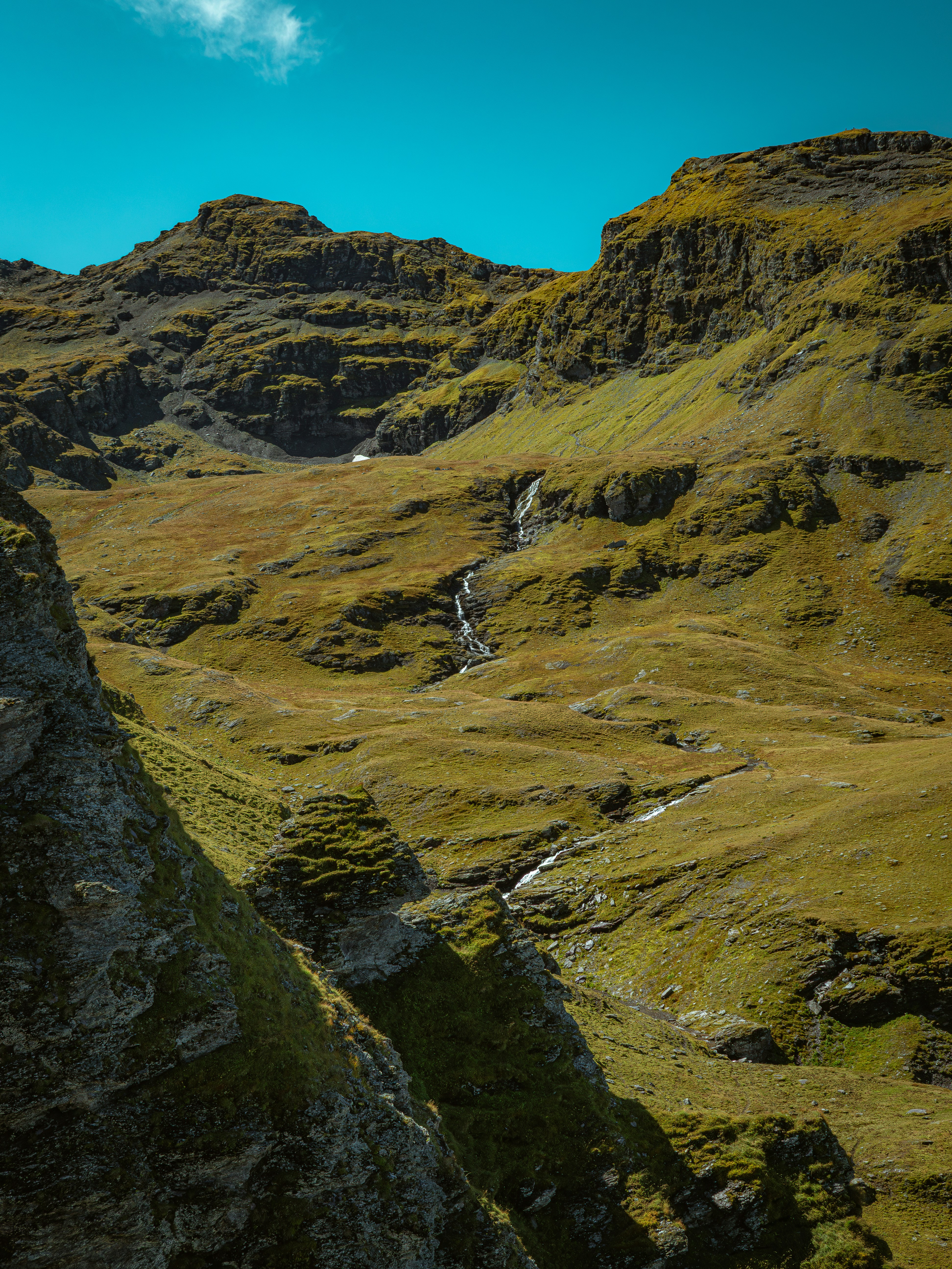 Photo by poli_graphy