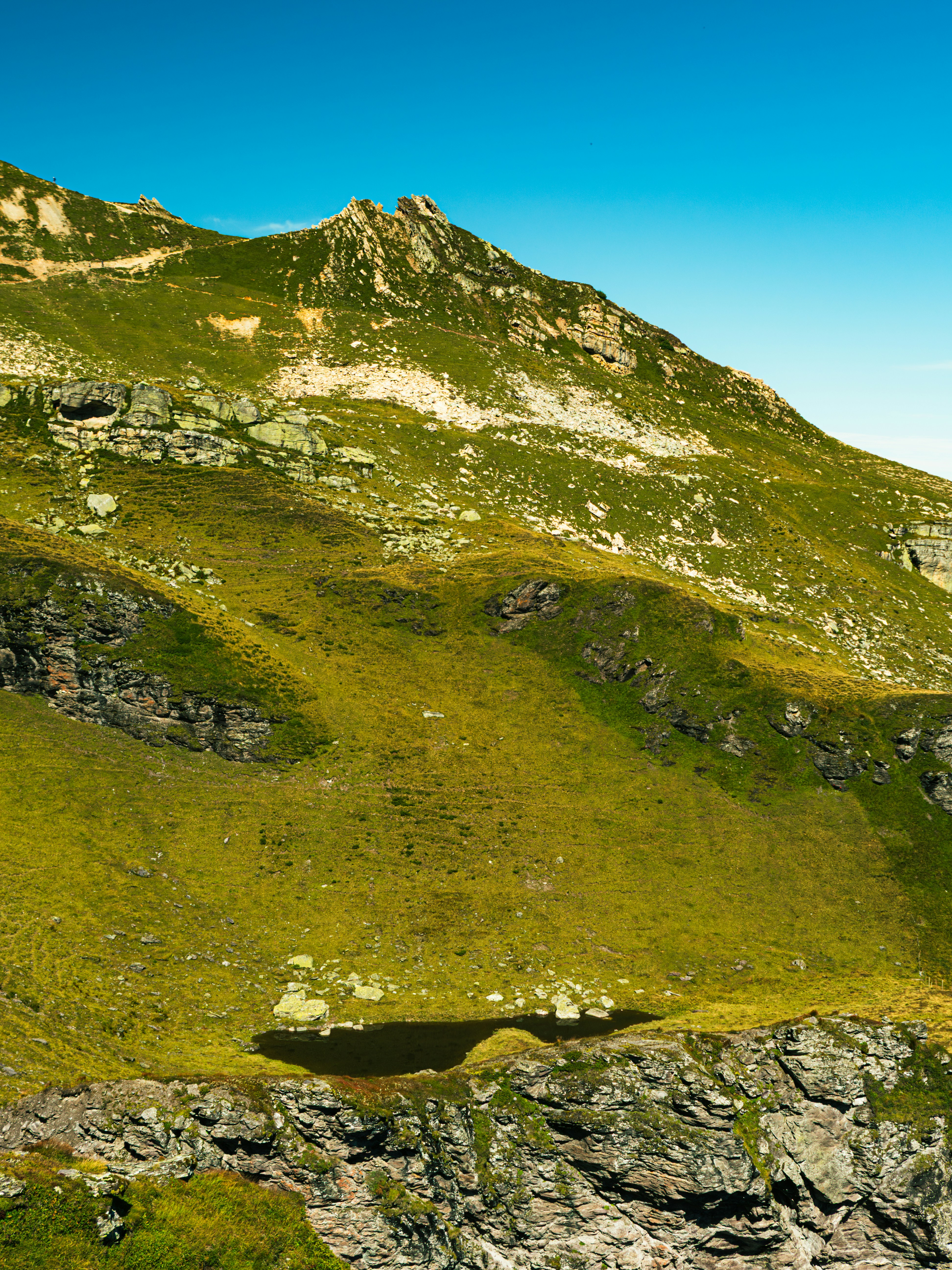 Photo by poli_graphy