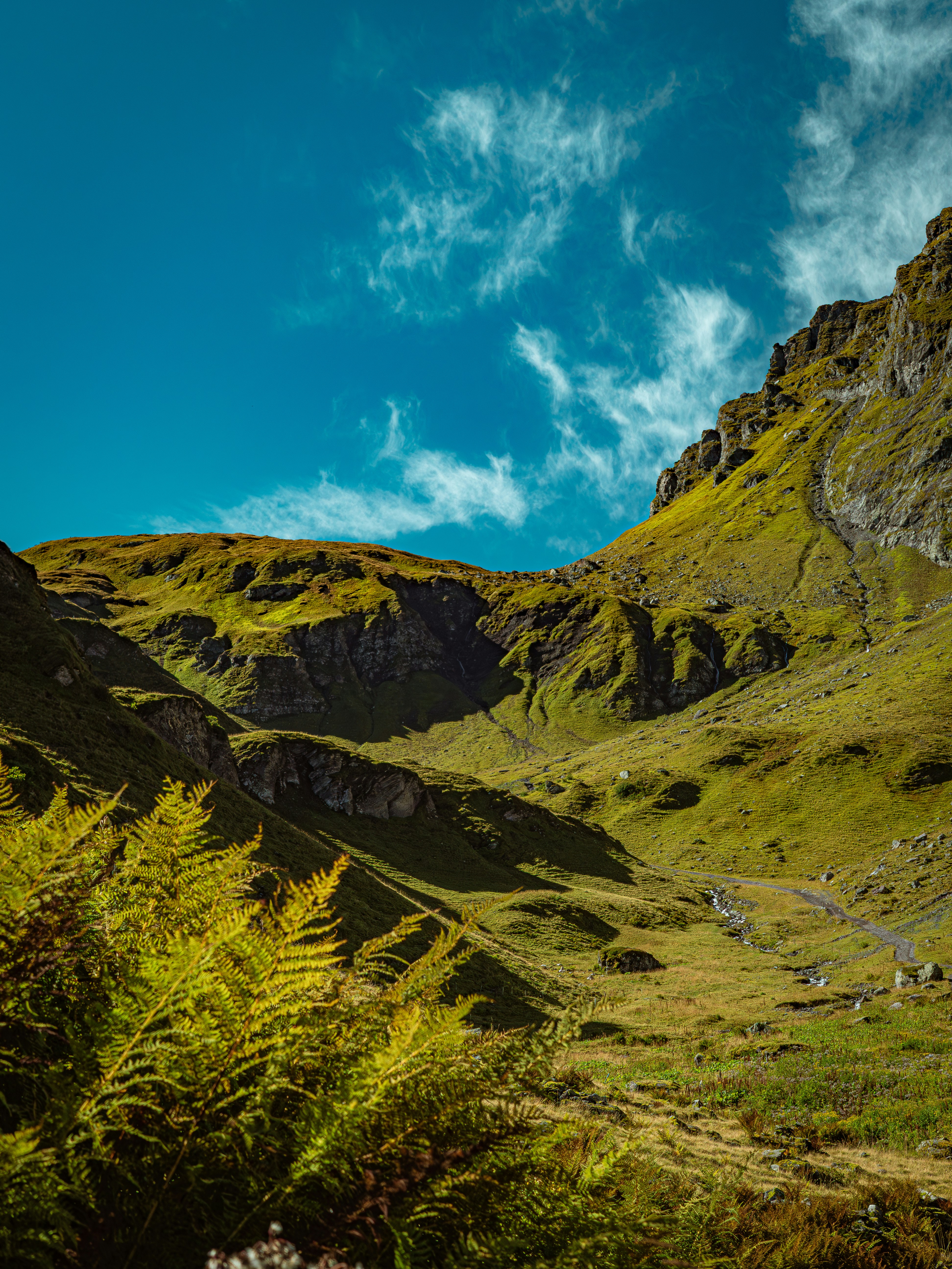 Photo by poli_graphy