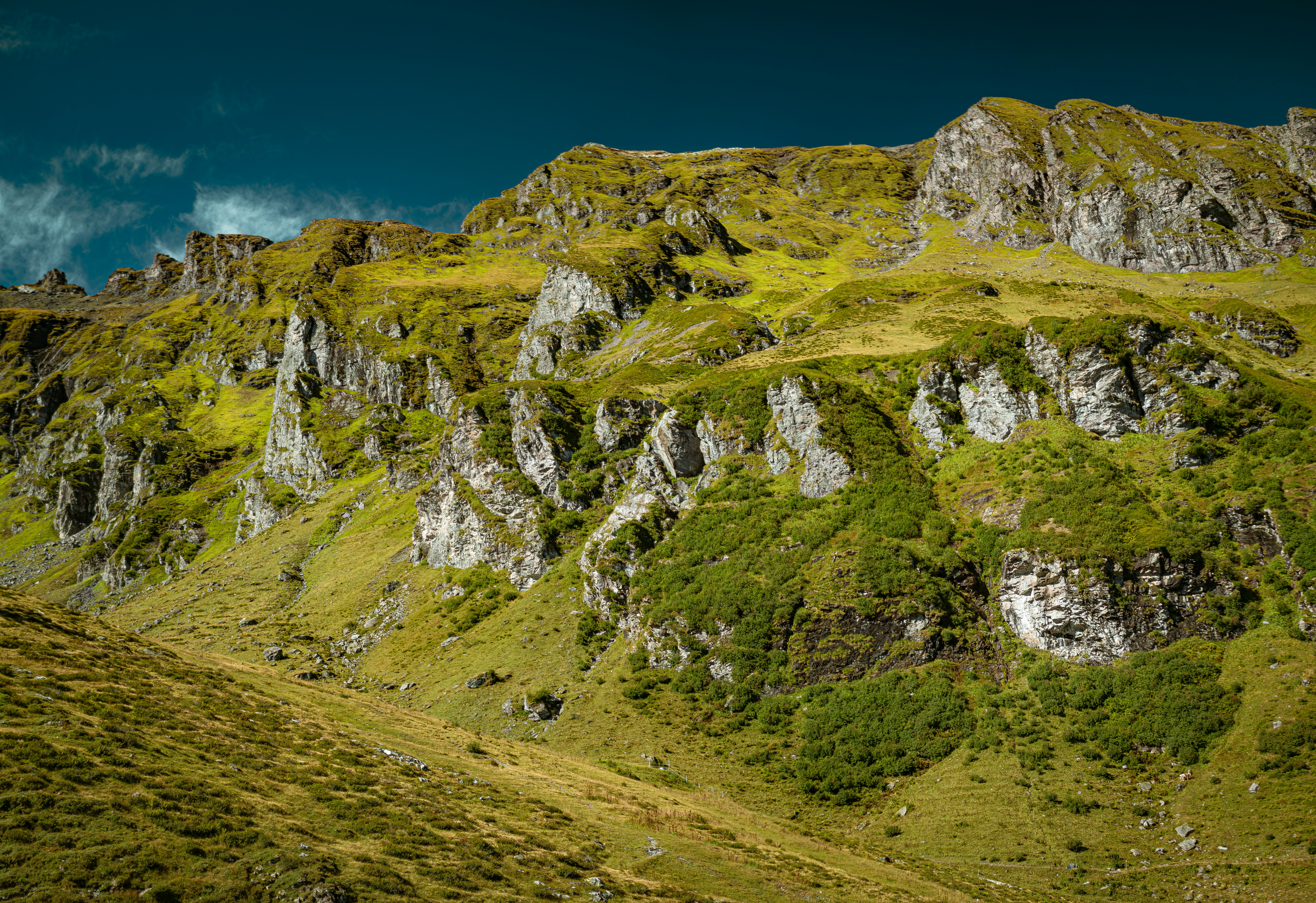 Photo by poli_graphy