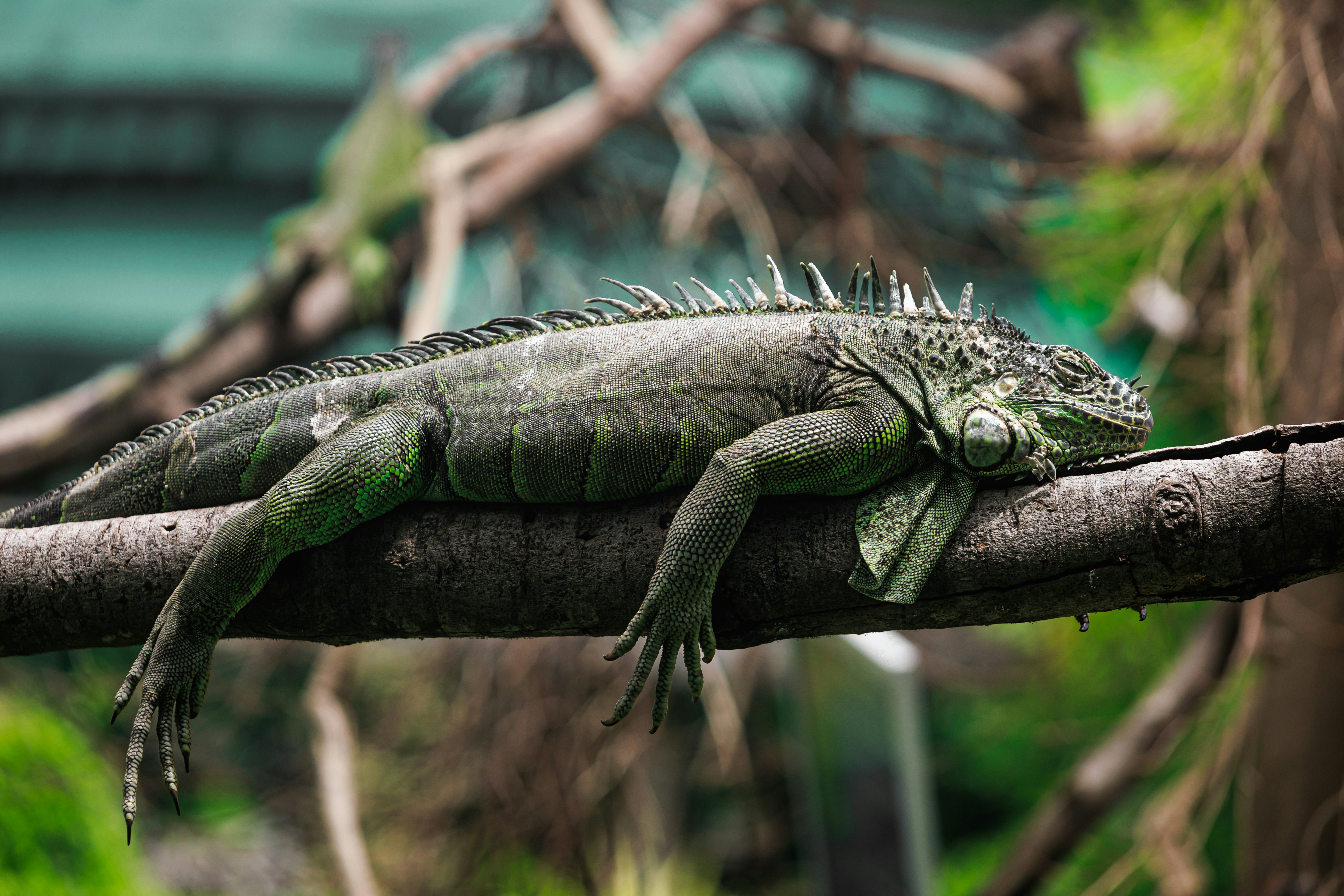 Photo by chuchu123456