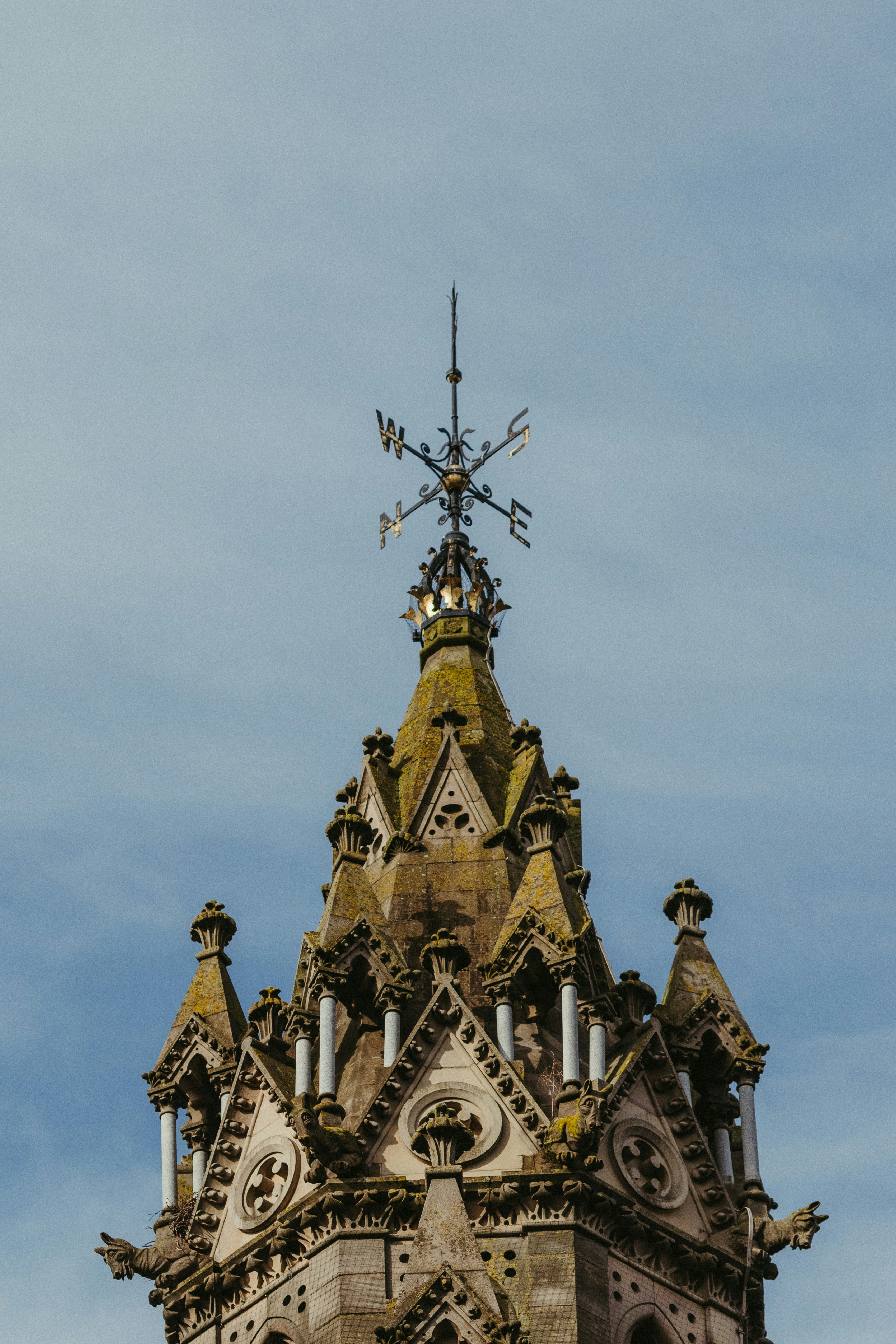 Photo by jonathanborba