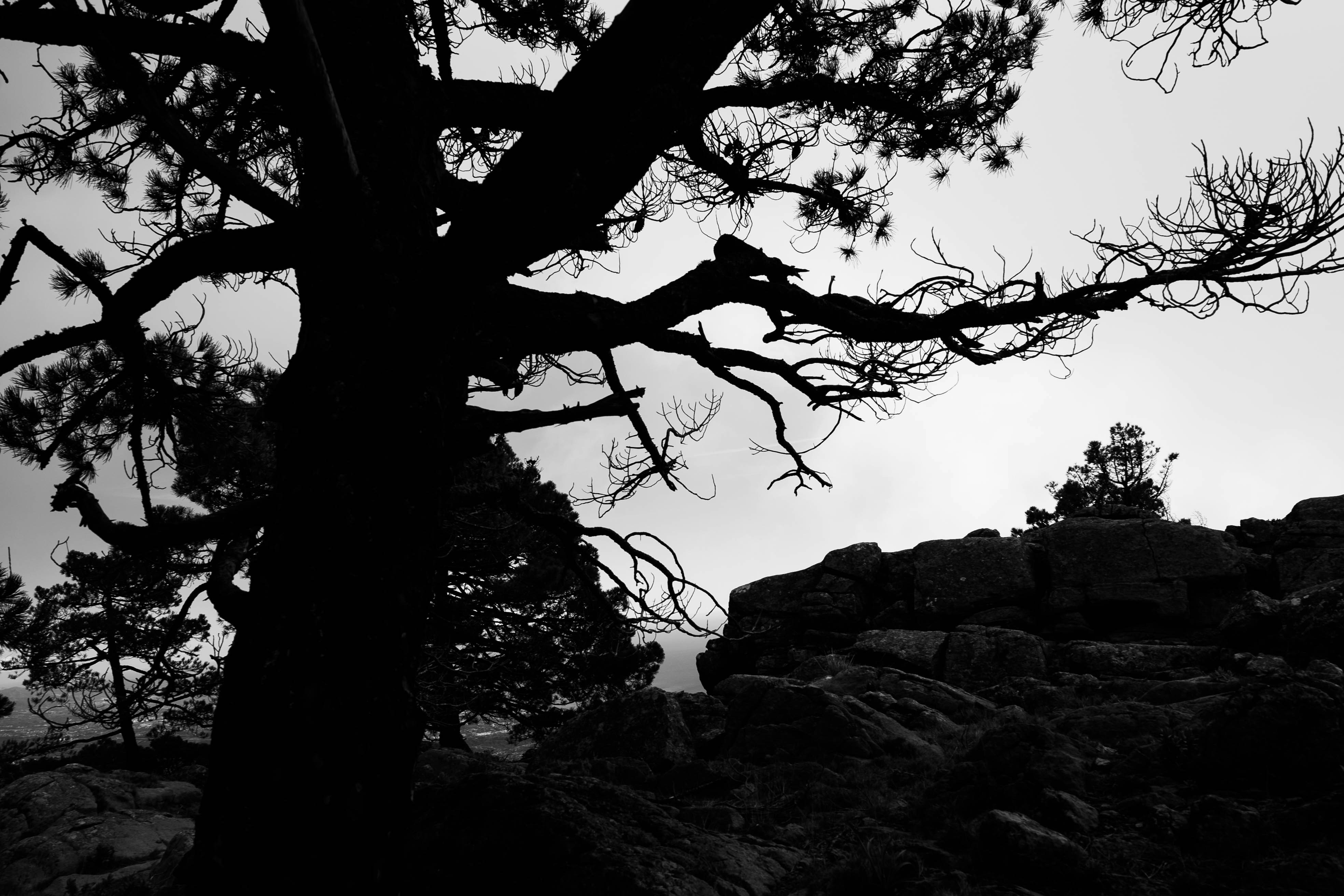 Photo by borjaverbena