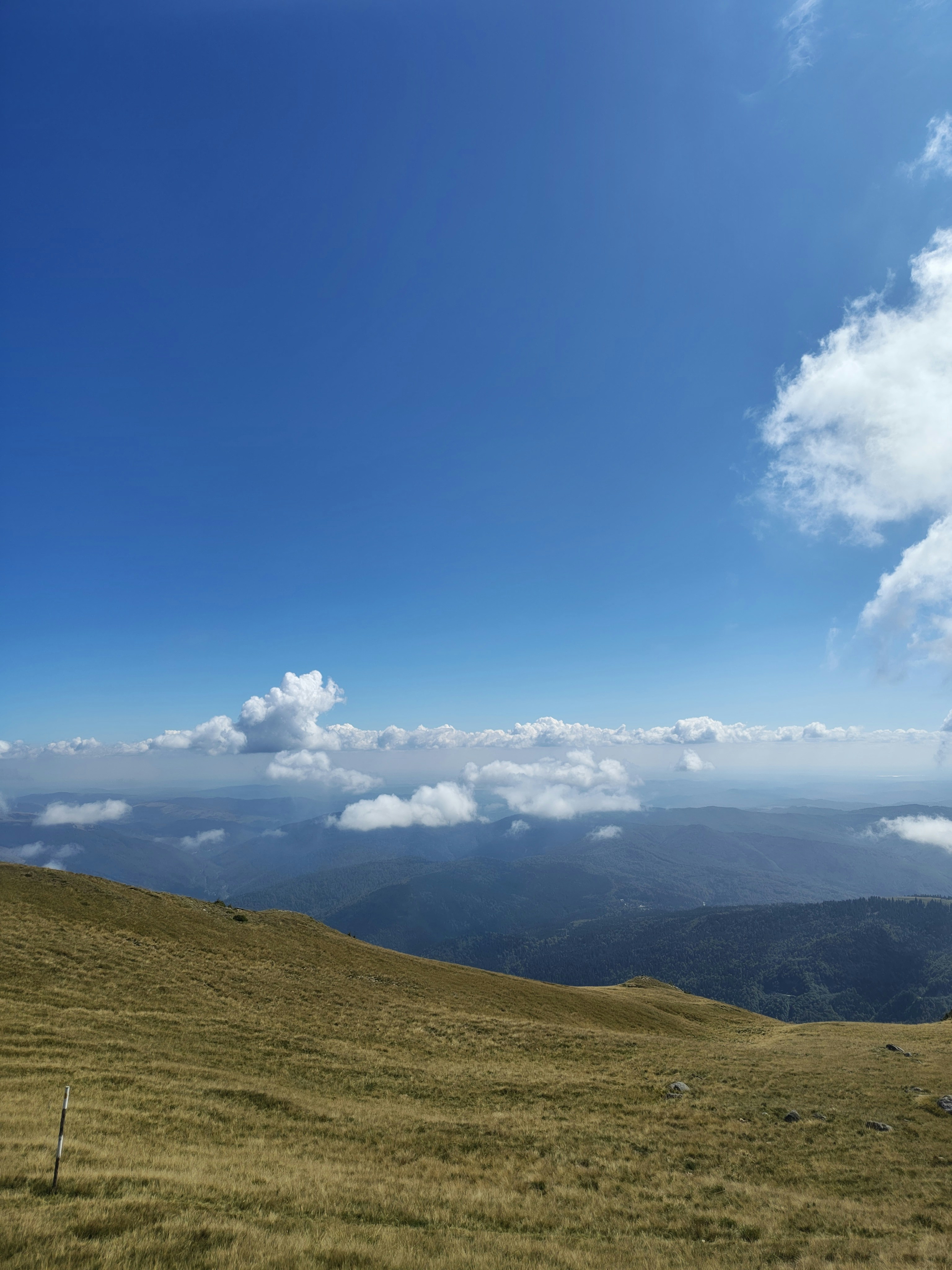 Photo by hossainnahid