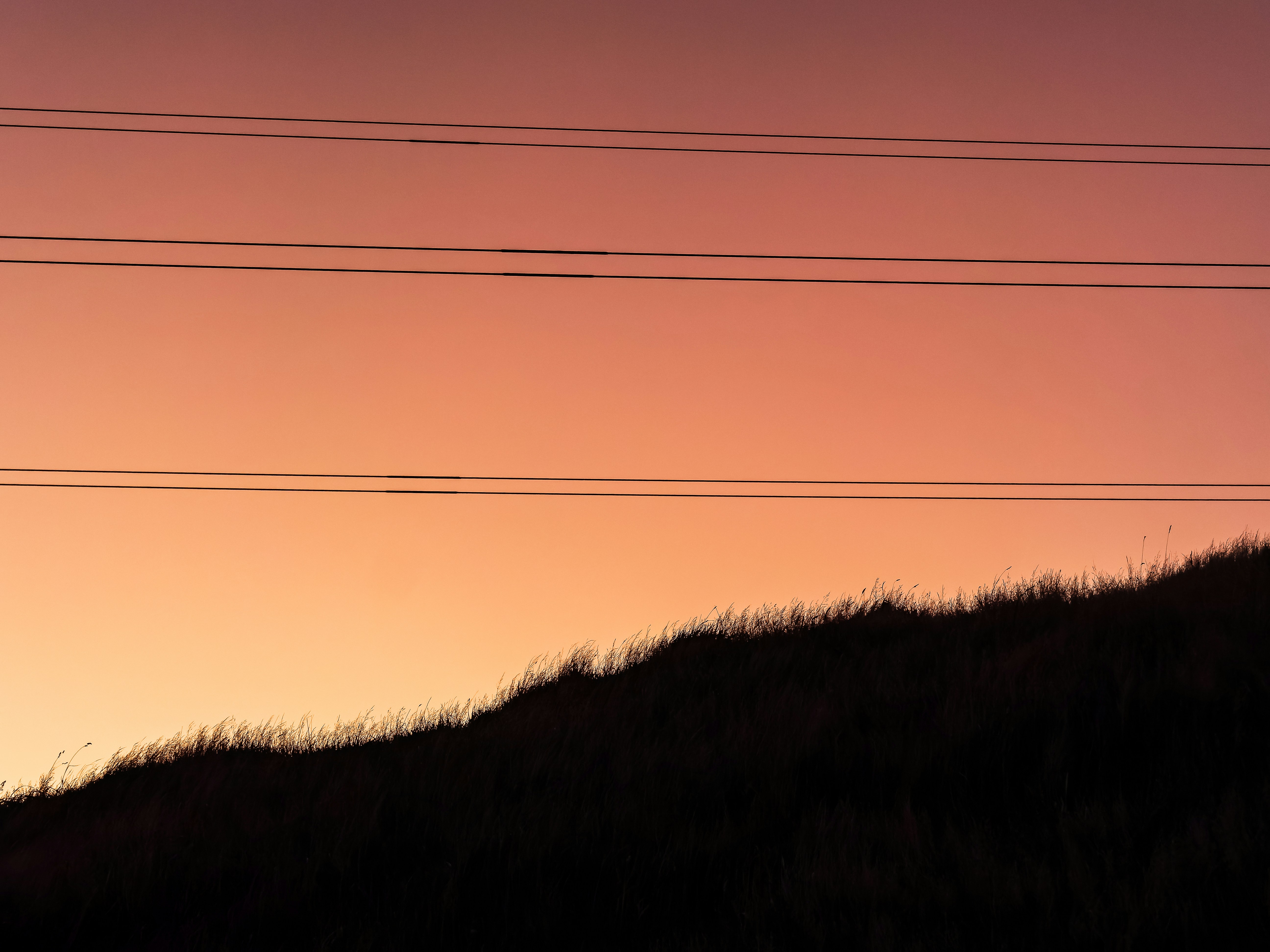 Photo by sschusterphotoart